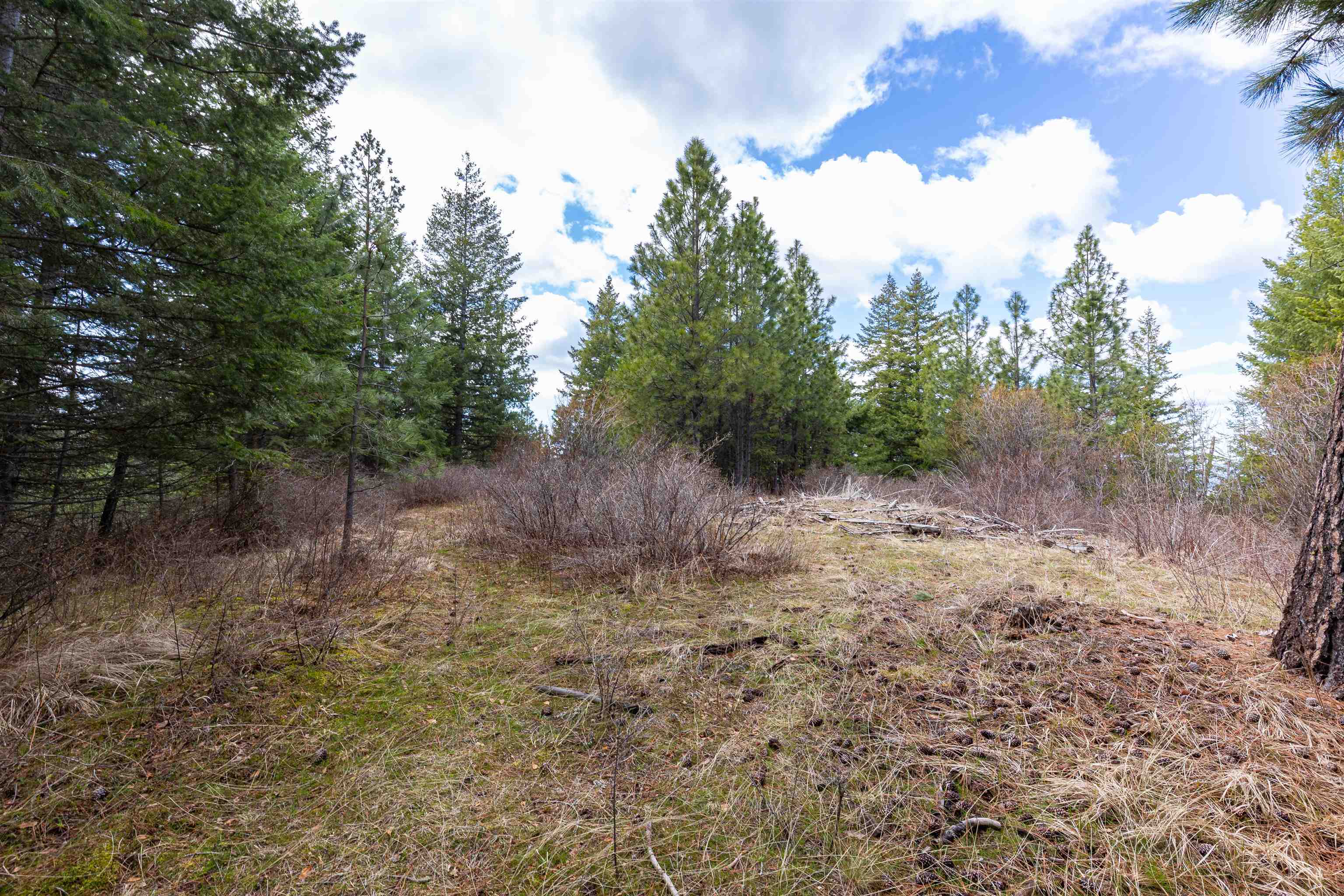 31xxx N South Jackson Rd - Photo 16