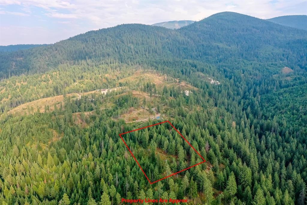 31xxx N South Jackson Rd - Photo 24