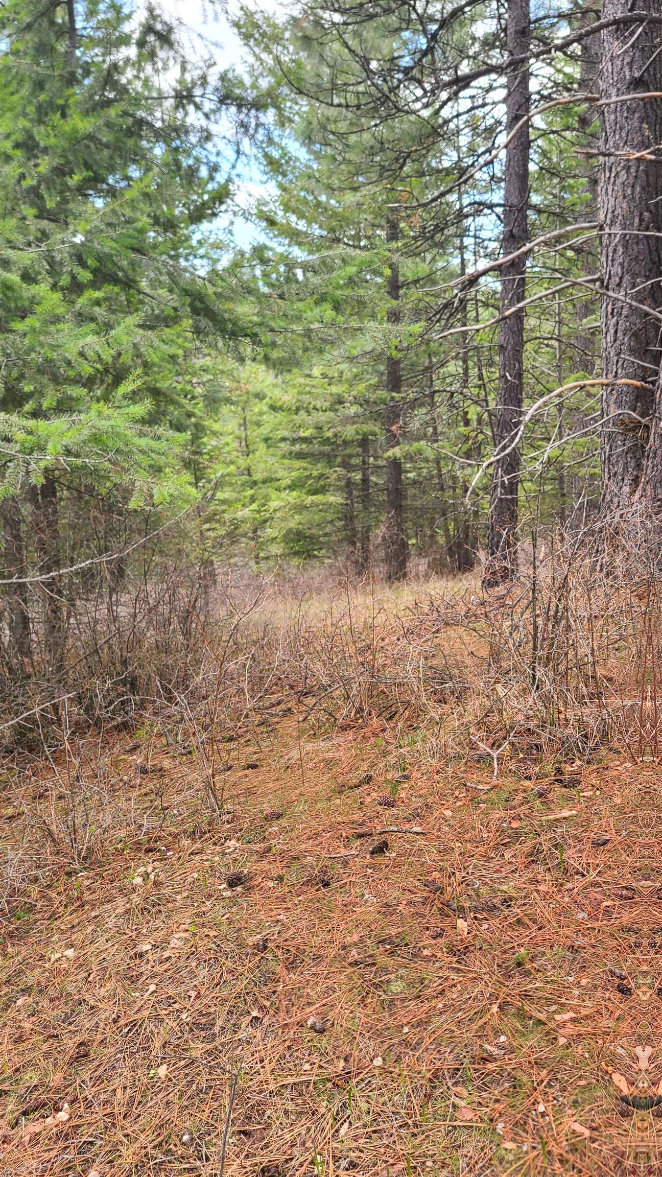 31xxx N South Jackson Rd - Photo 29