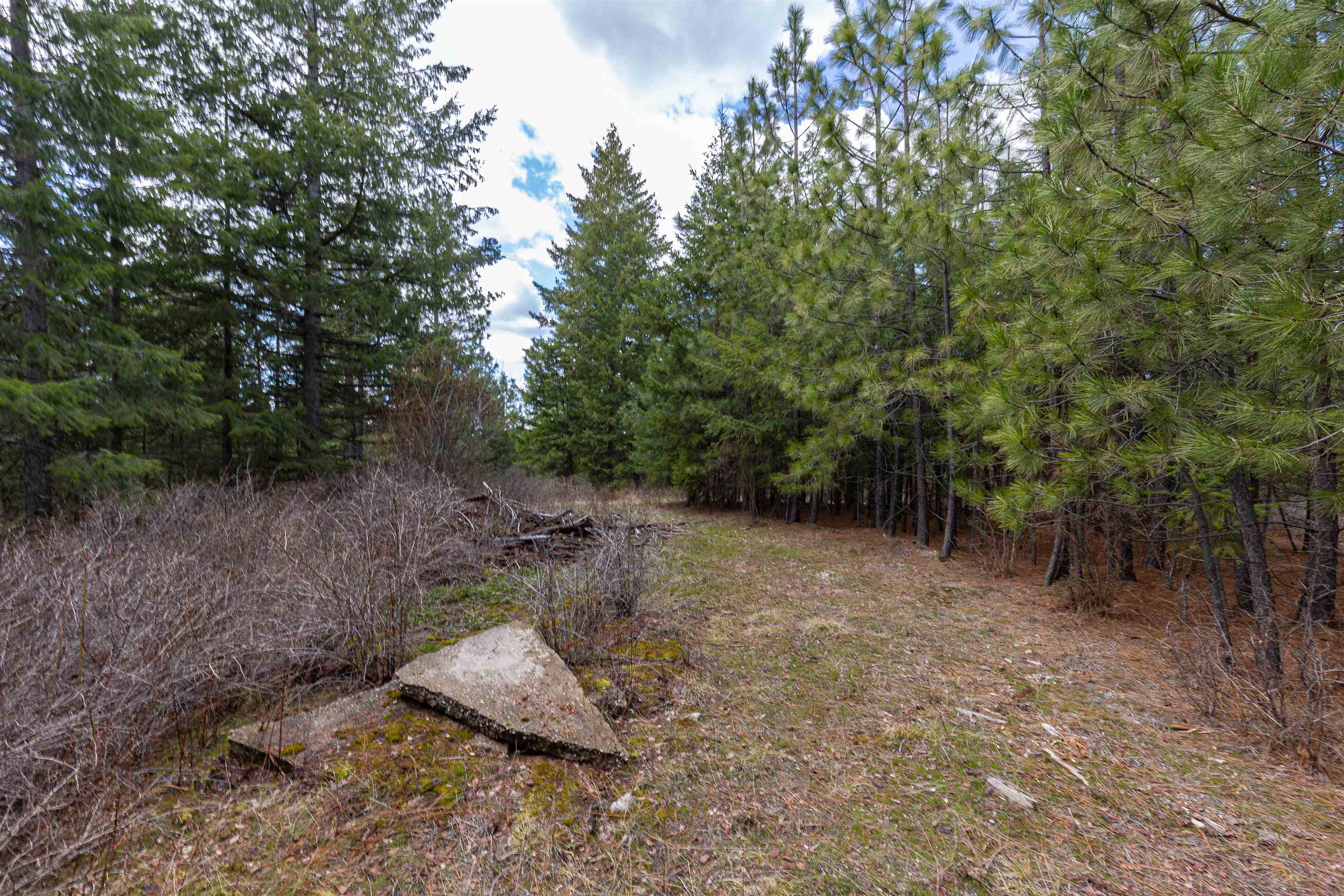 31xxx N South Jackson Rd - Photo 4