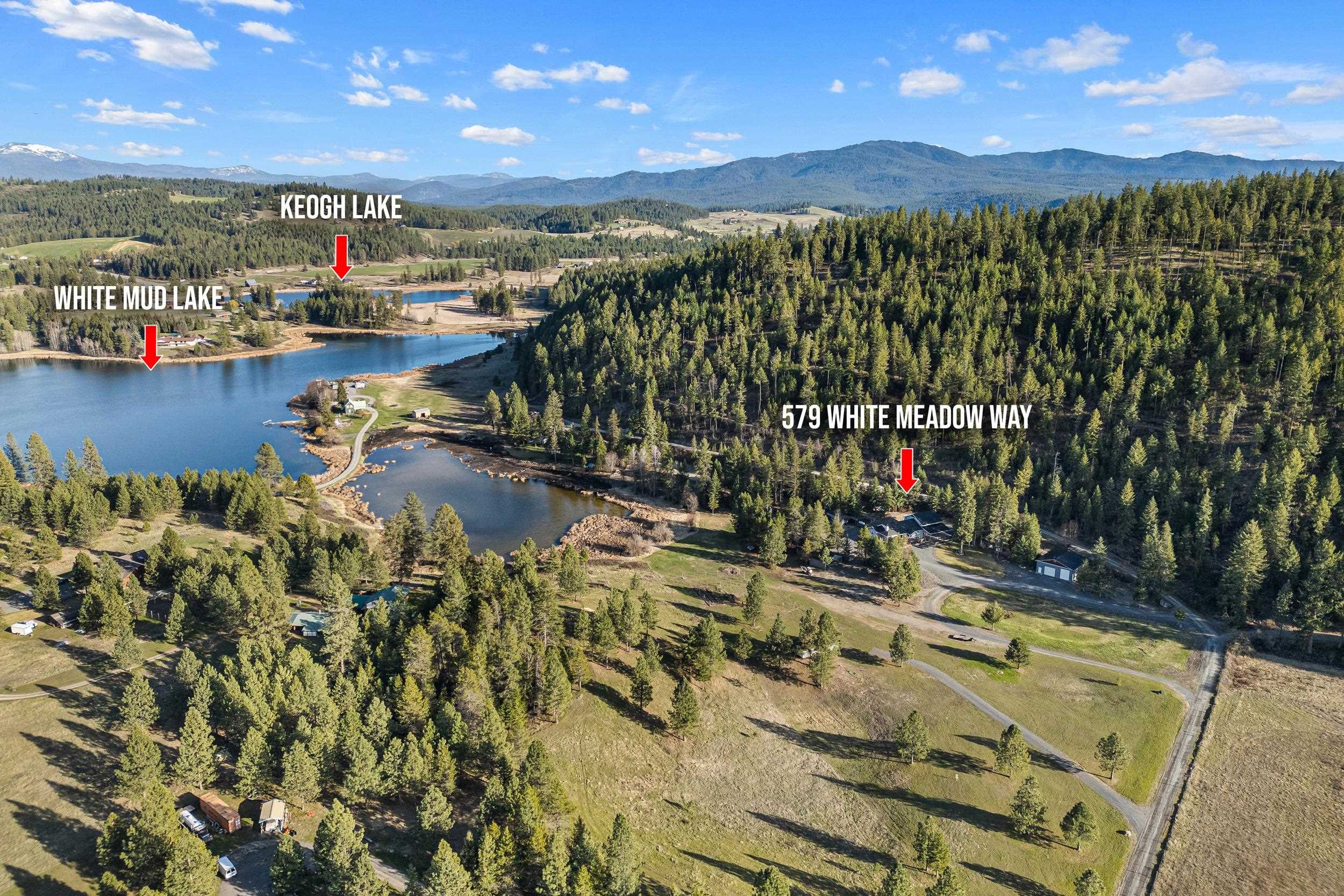 579 White Meadow Way - Photo 1