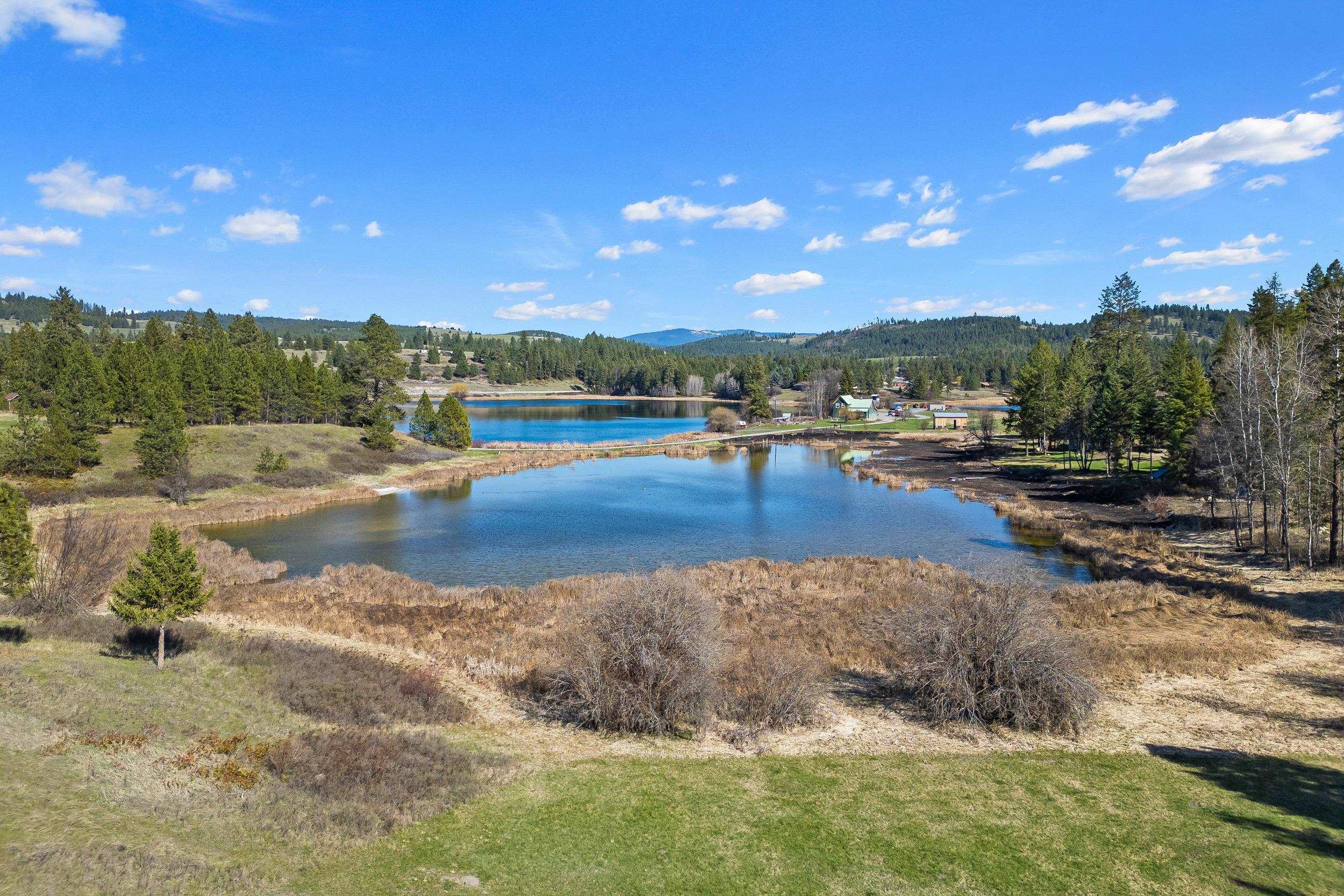 579 White Meadow Way - Photo 49