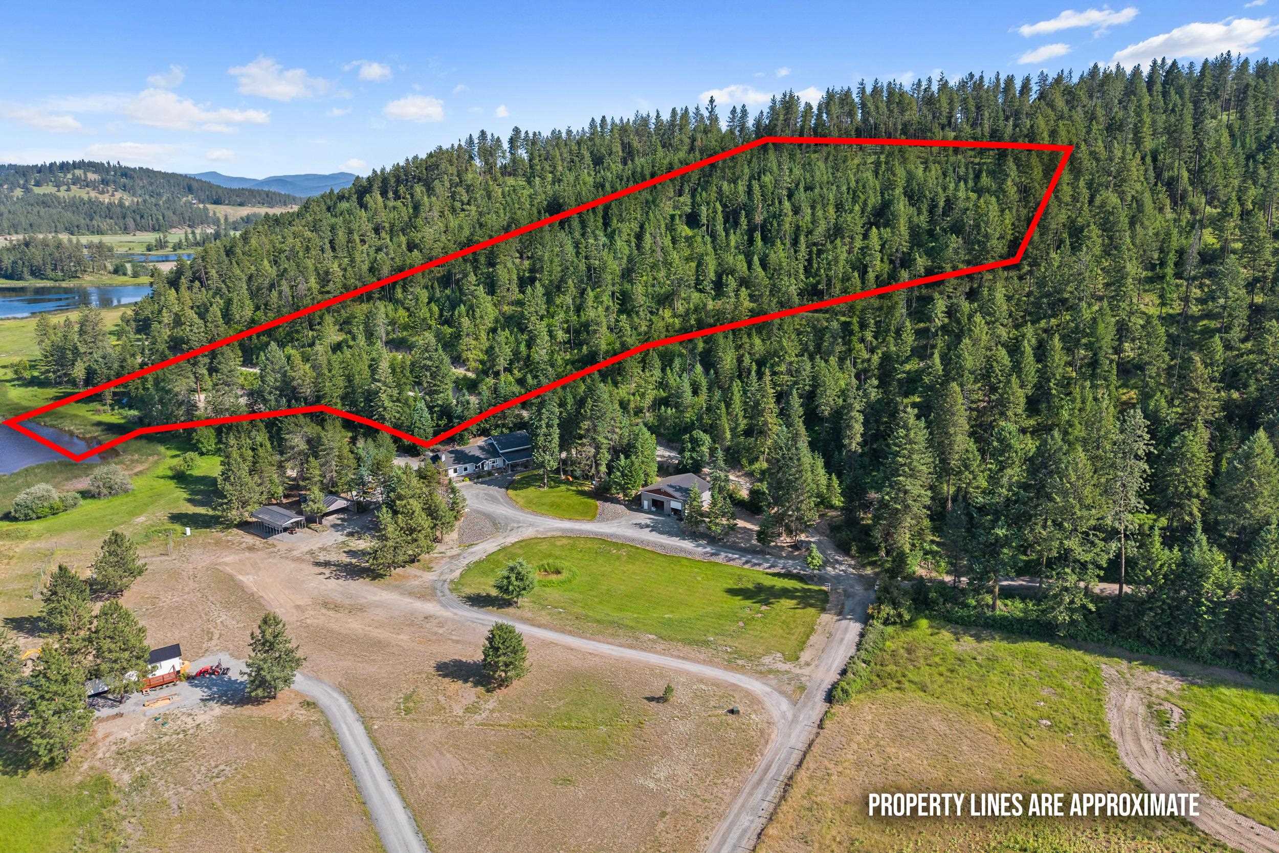 585 White Meadow Way - Photo 2