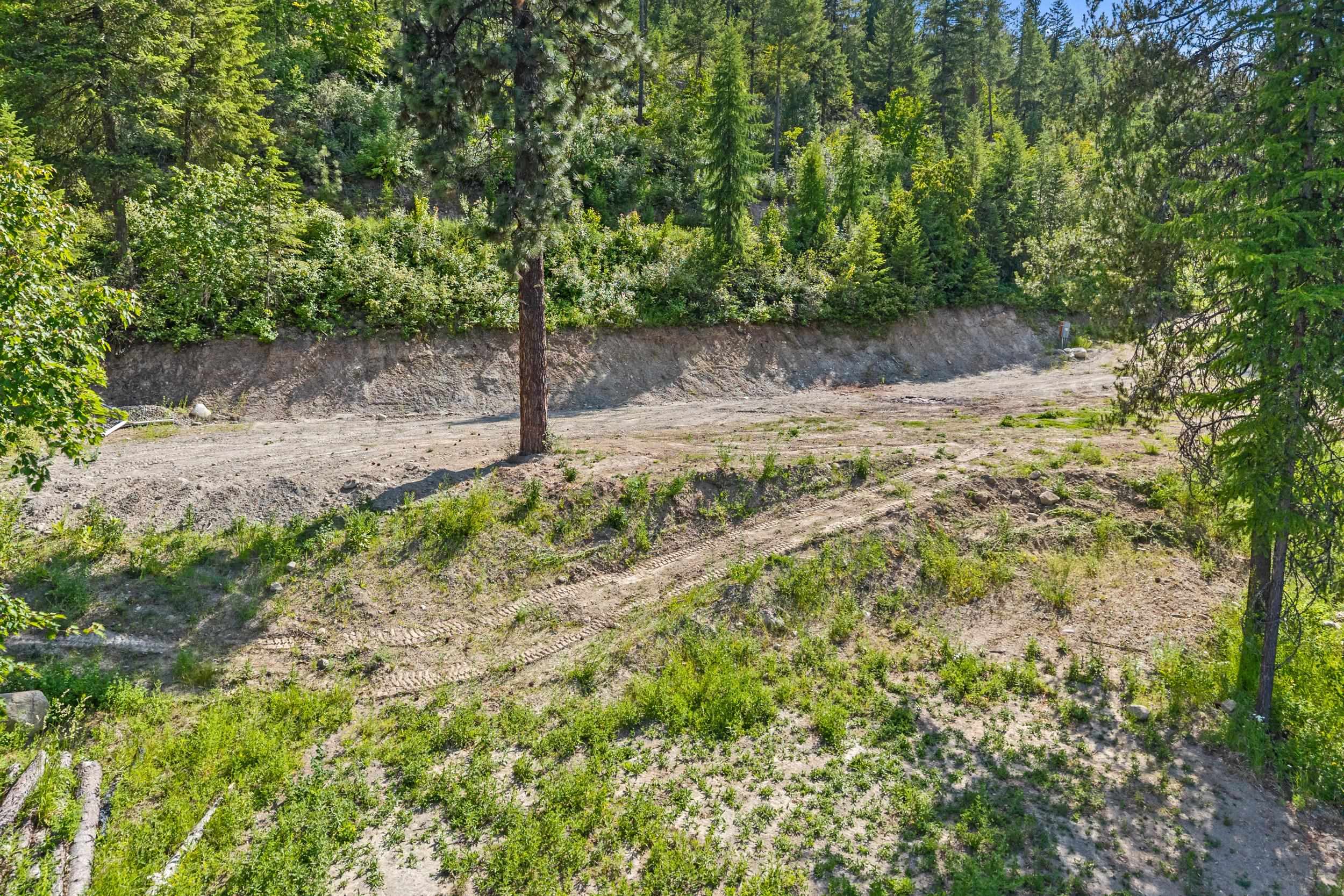 585 White Meadow Way - Photo 11