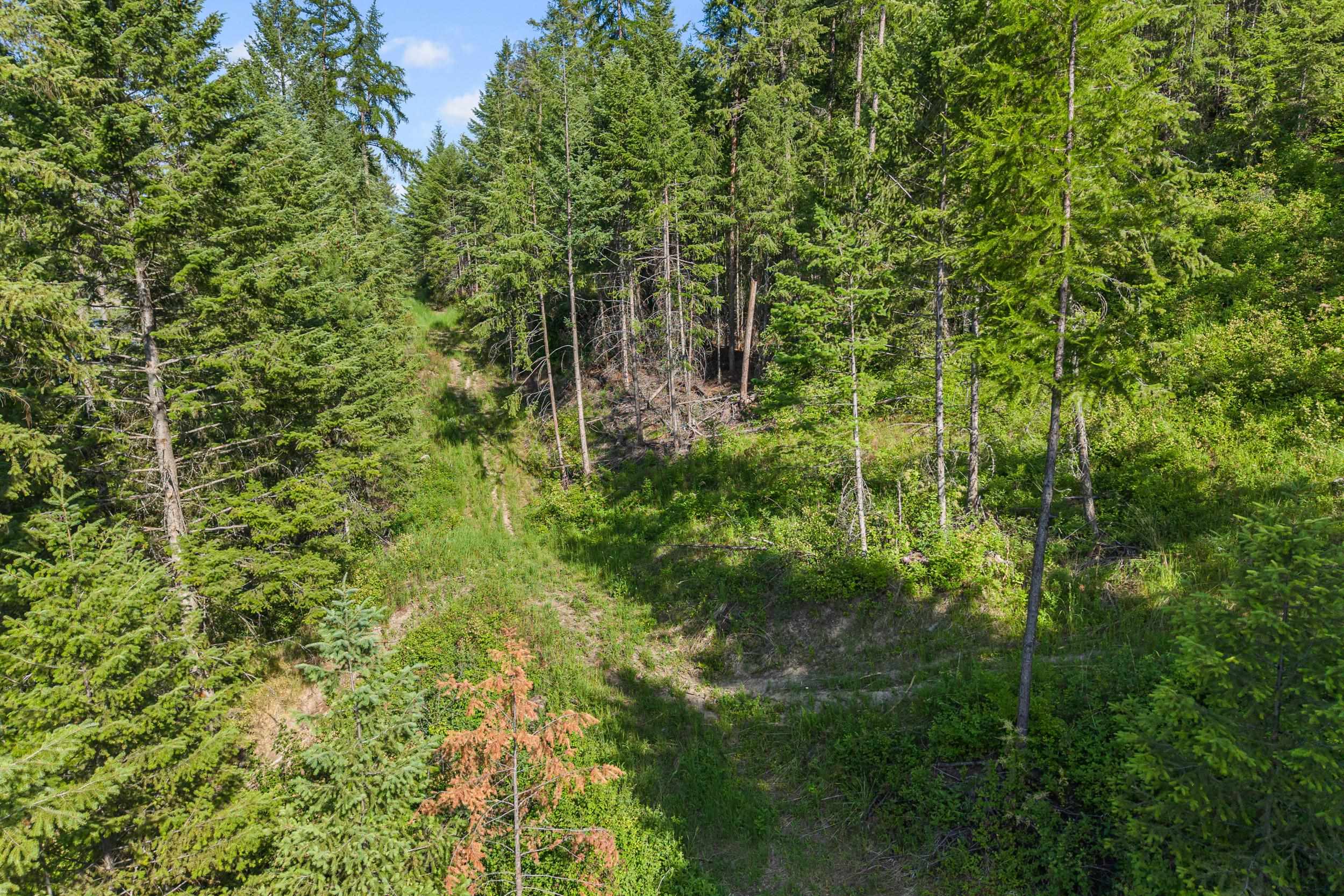 585 White Meadow Way - Photo 18
