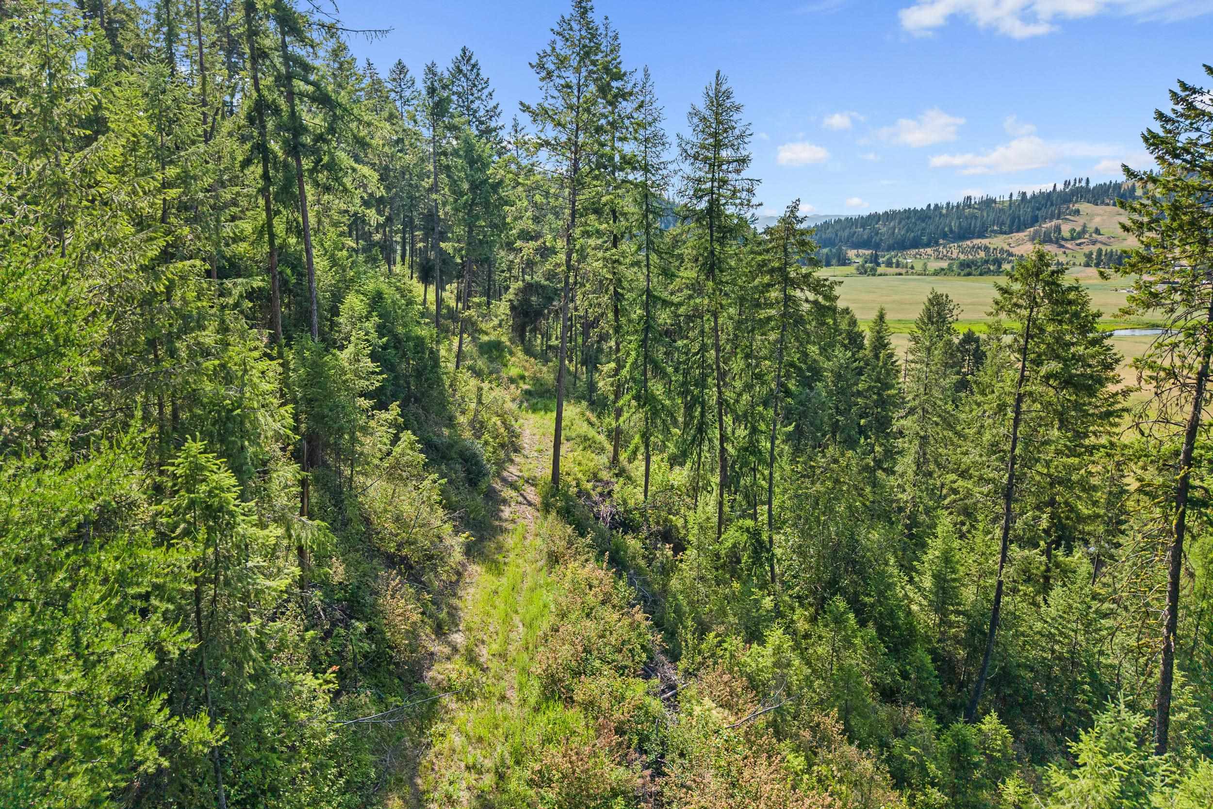 585 White Meadow Way - Photo 19