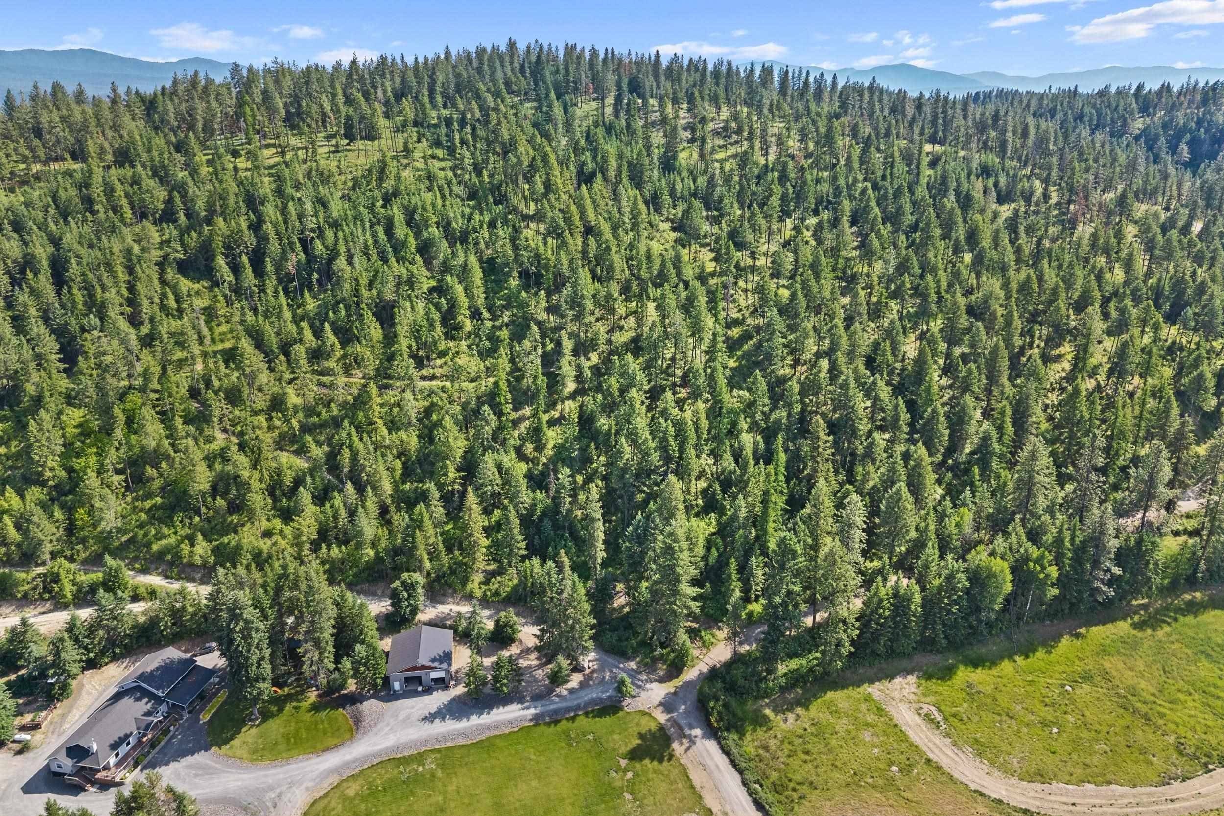 585 White Meadow Way - Photo 3