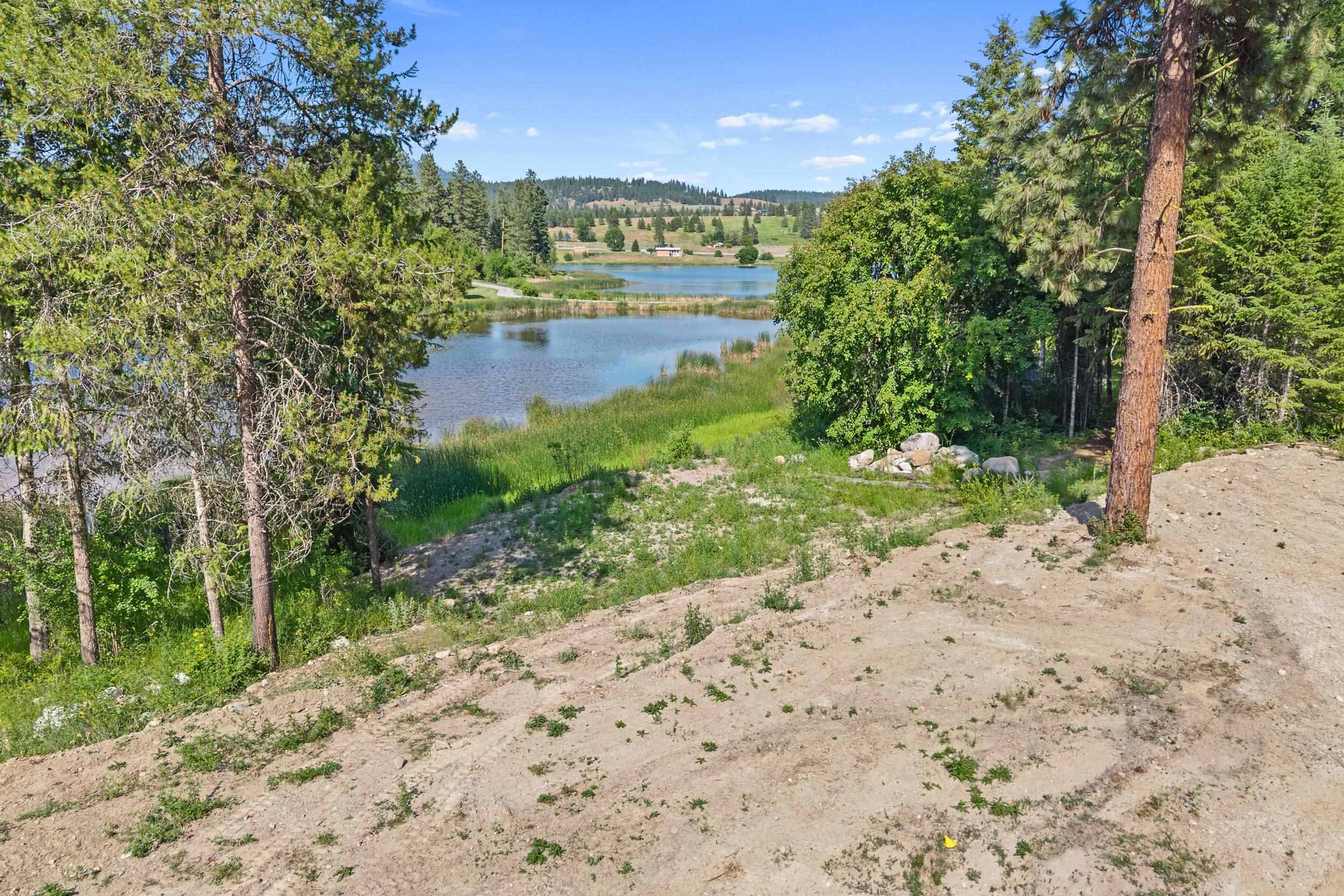 585 White Meadow Way - Photo 4