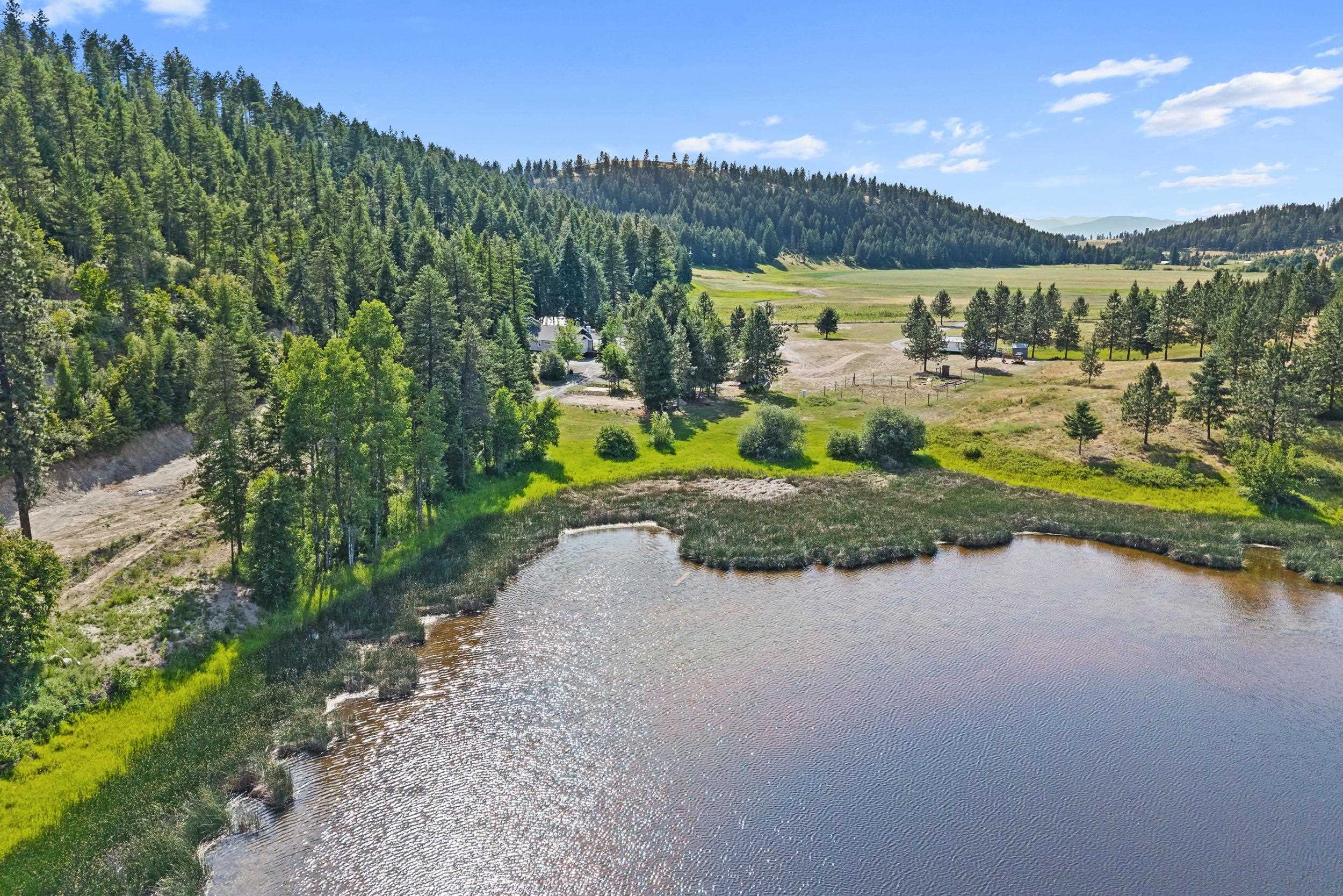 585 White Meadow Way - Photo 6