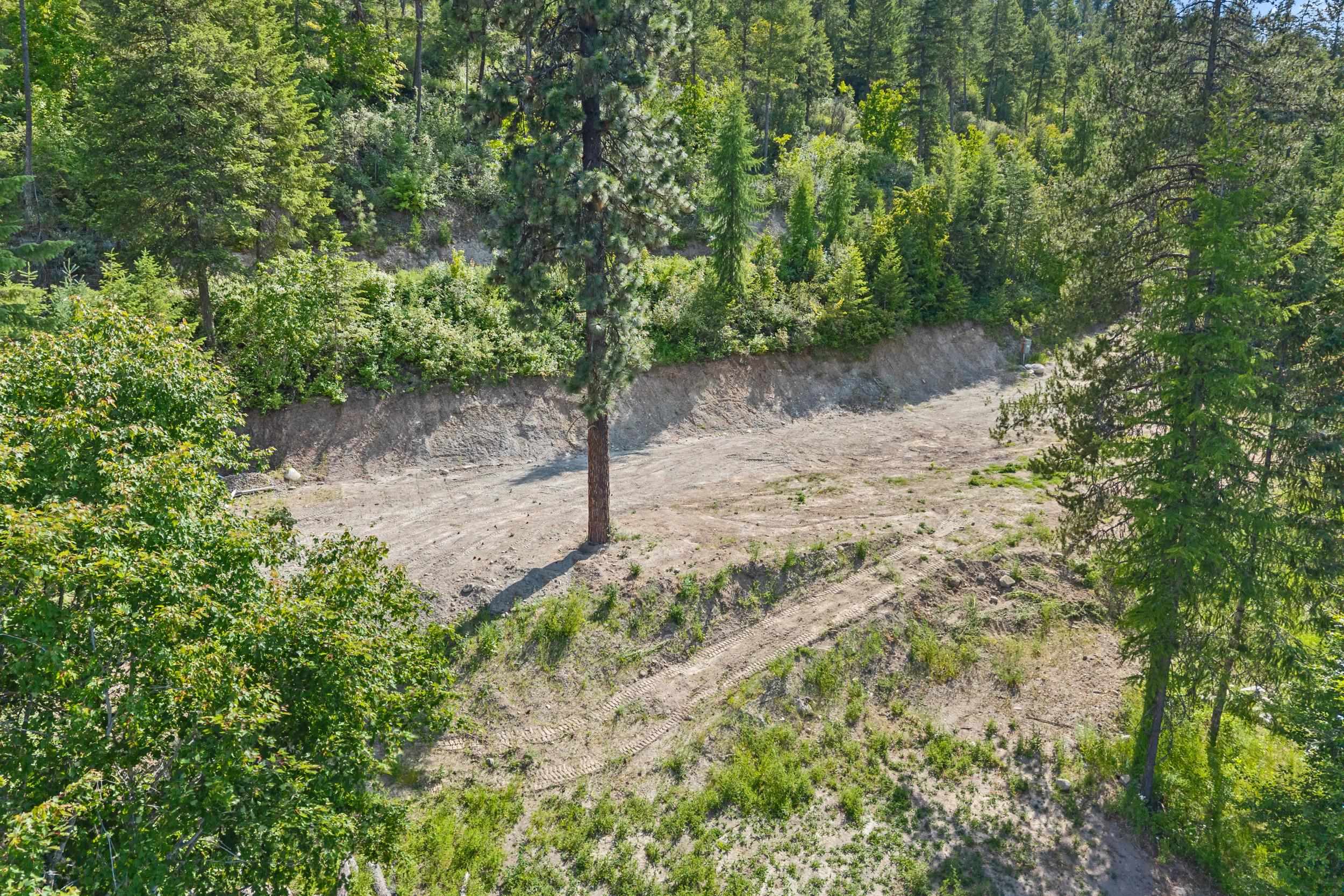 585 White Meadow Way - Photo 7