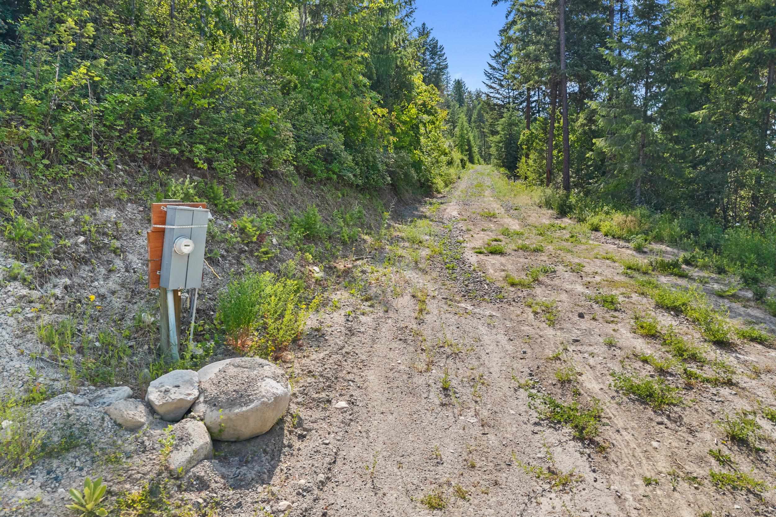 585 White Meadow Way - Photo 8