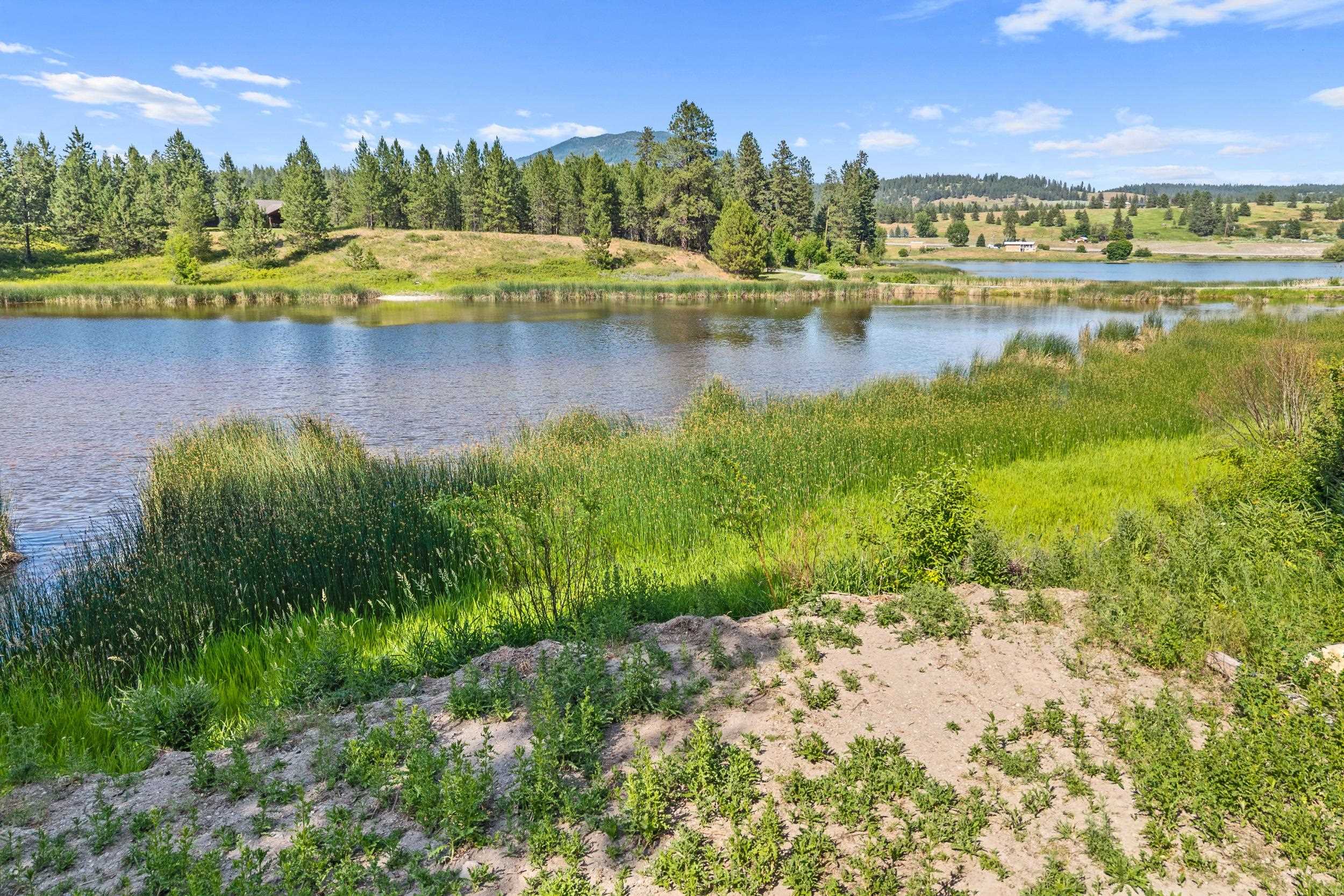 585 White Meadow Way - Photo 9