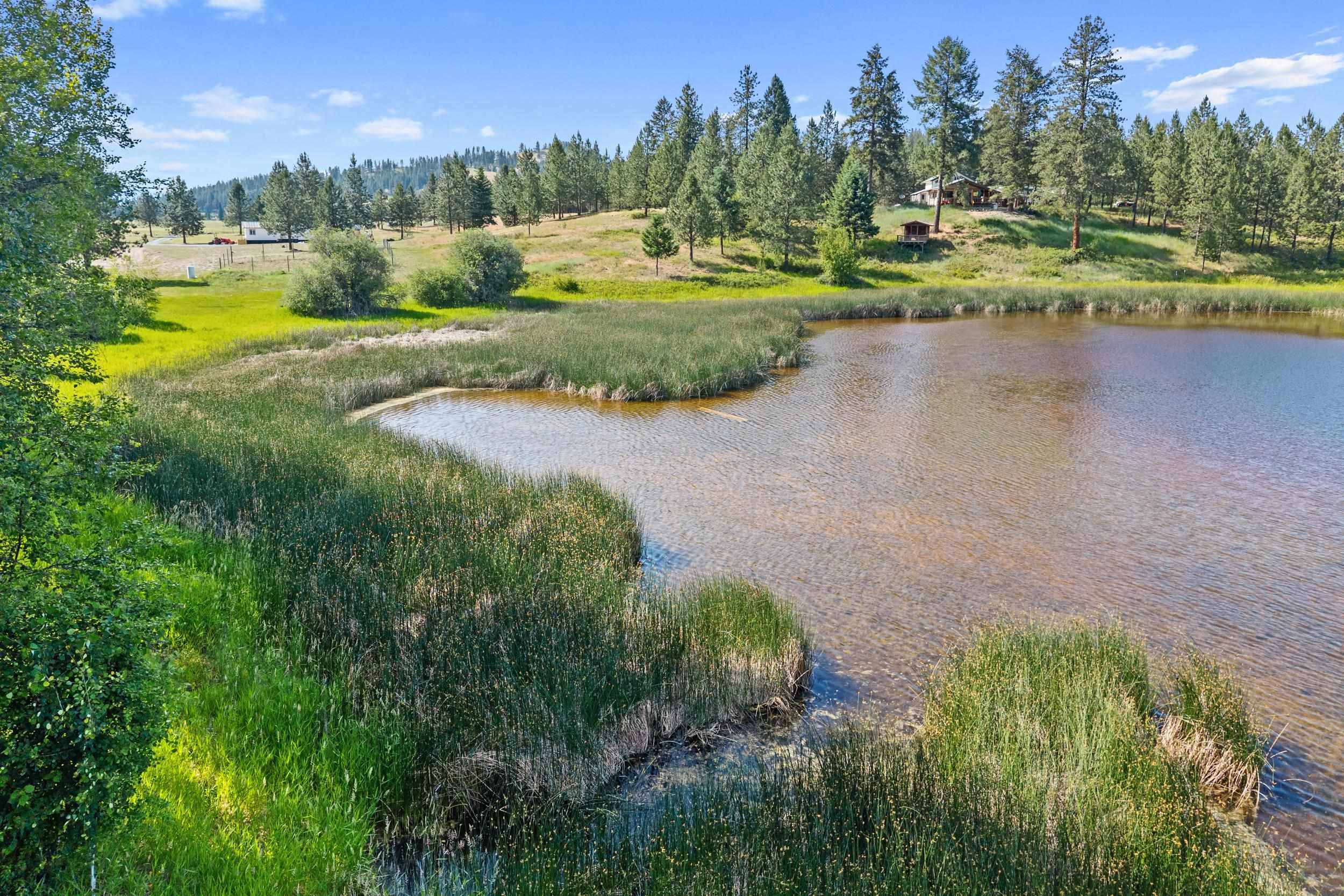 585 White Meadow Way - Photo 10