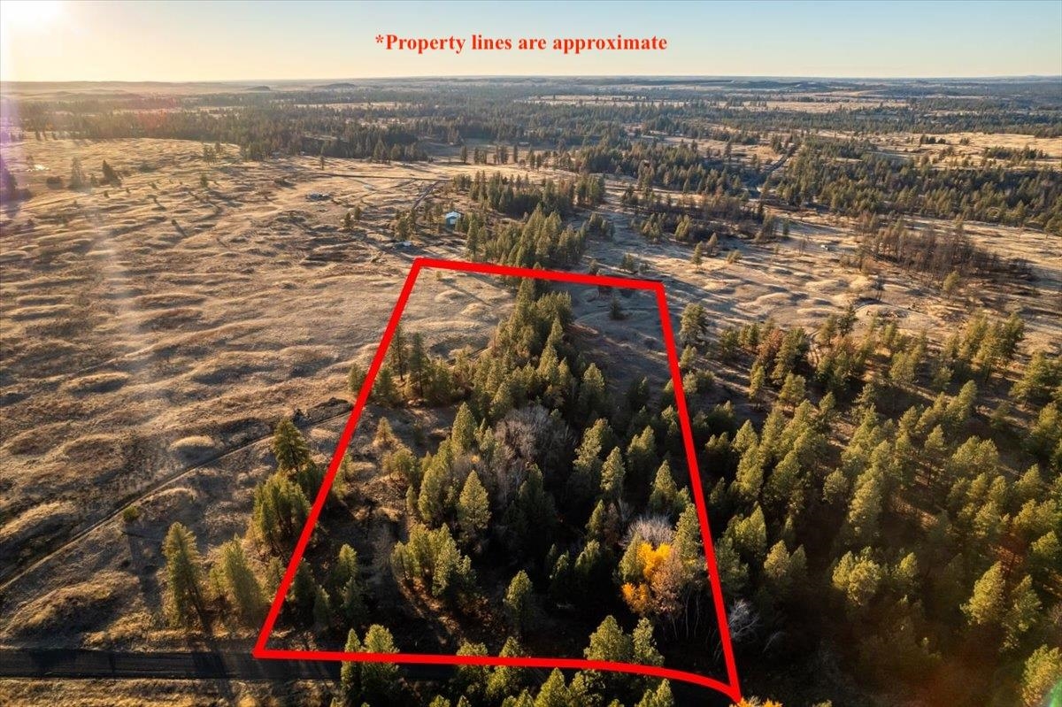 0 Lorna Ln - Photo 2