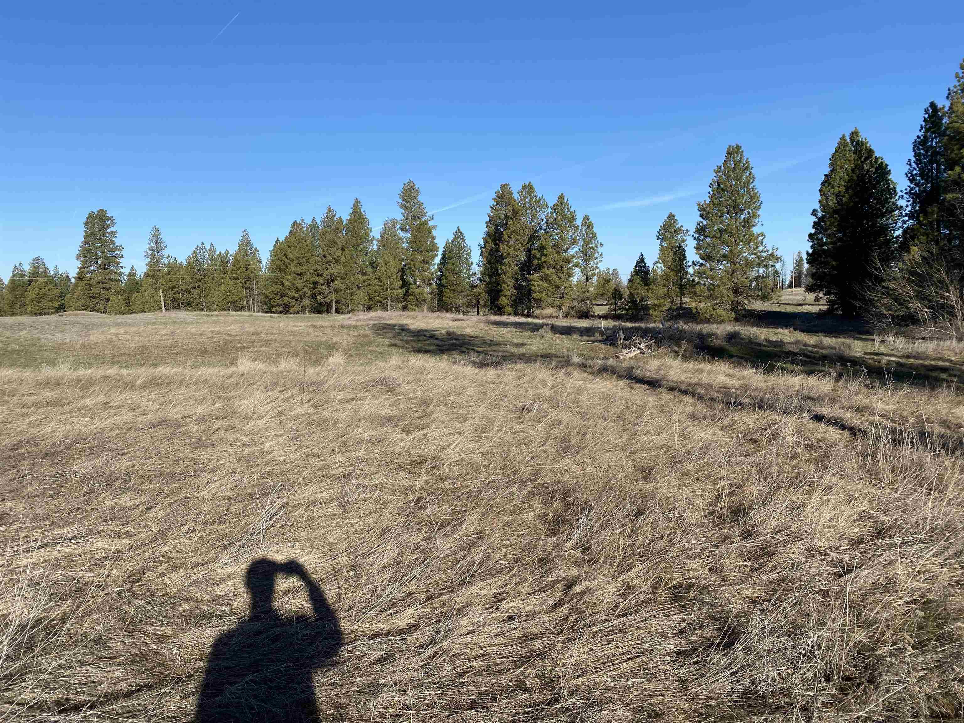 0 Lorna Ln - Photo 11