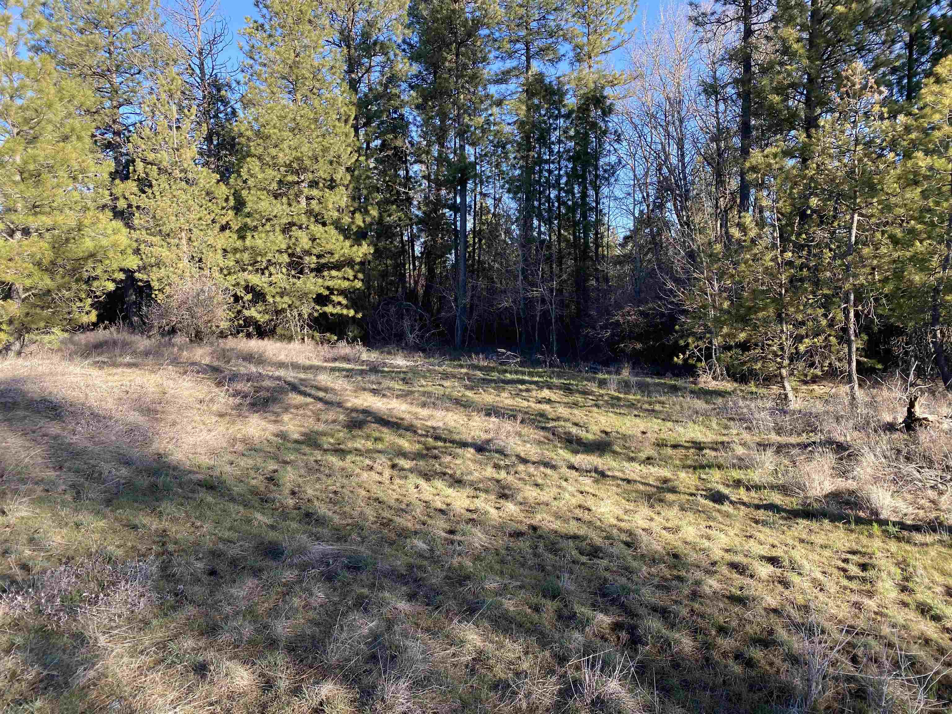 0 Lorna Ln - Photo 12