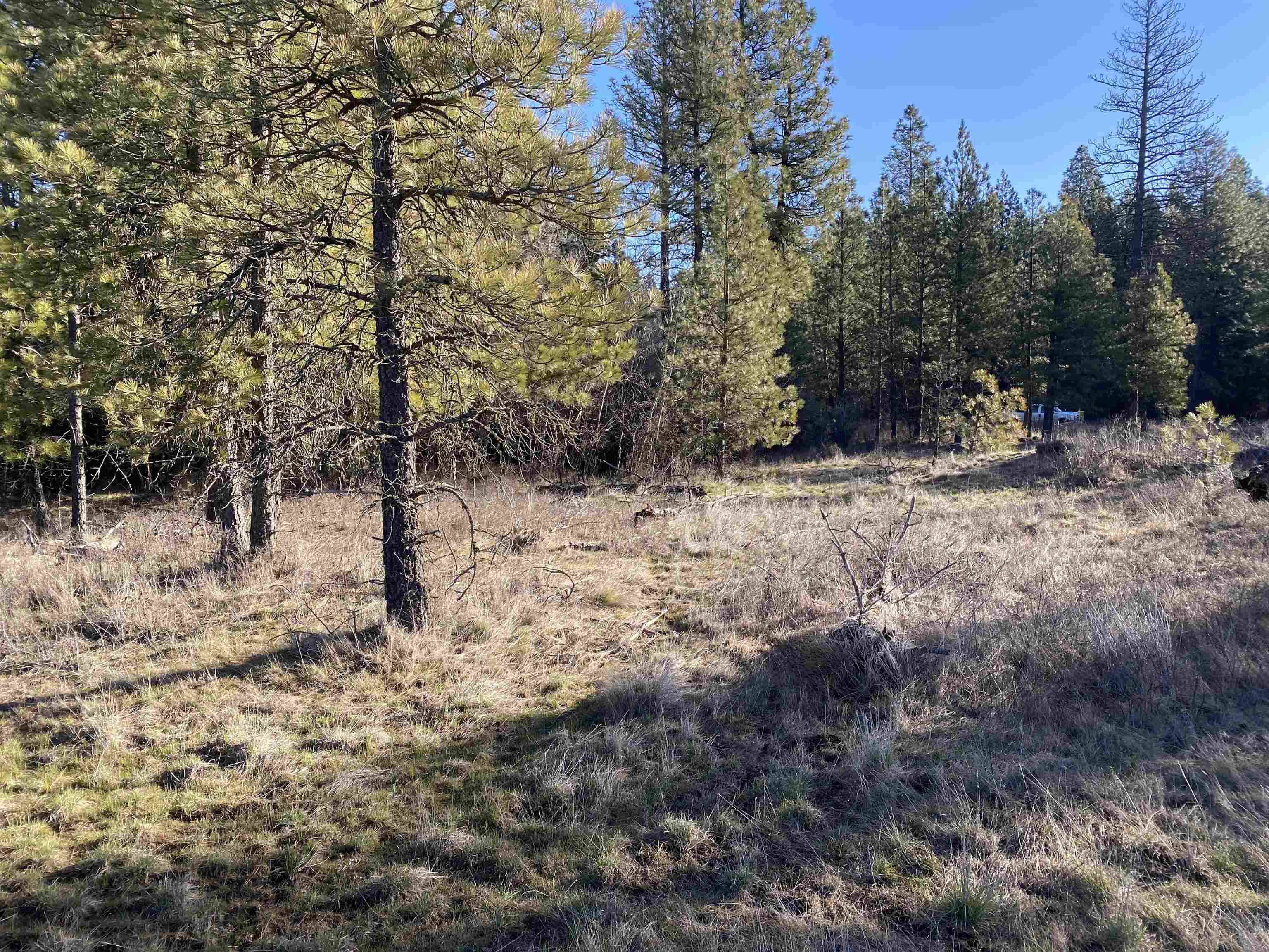 0 Lorna Ln - Photo 13