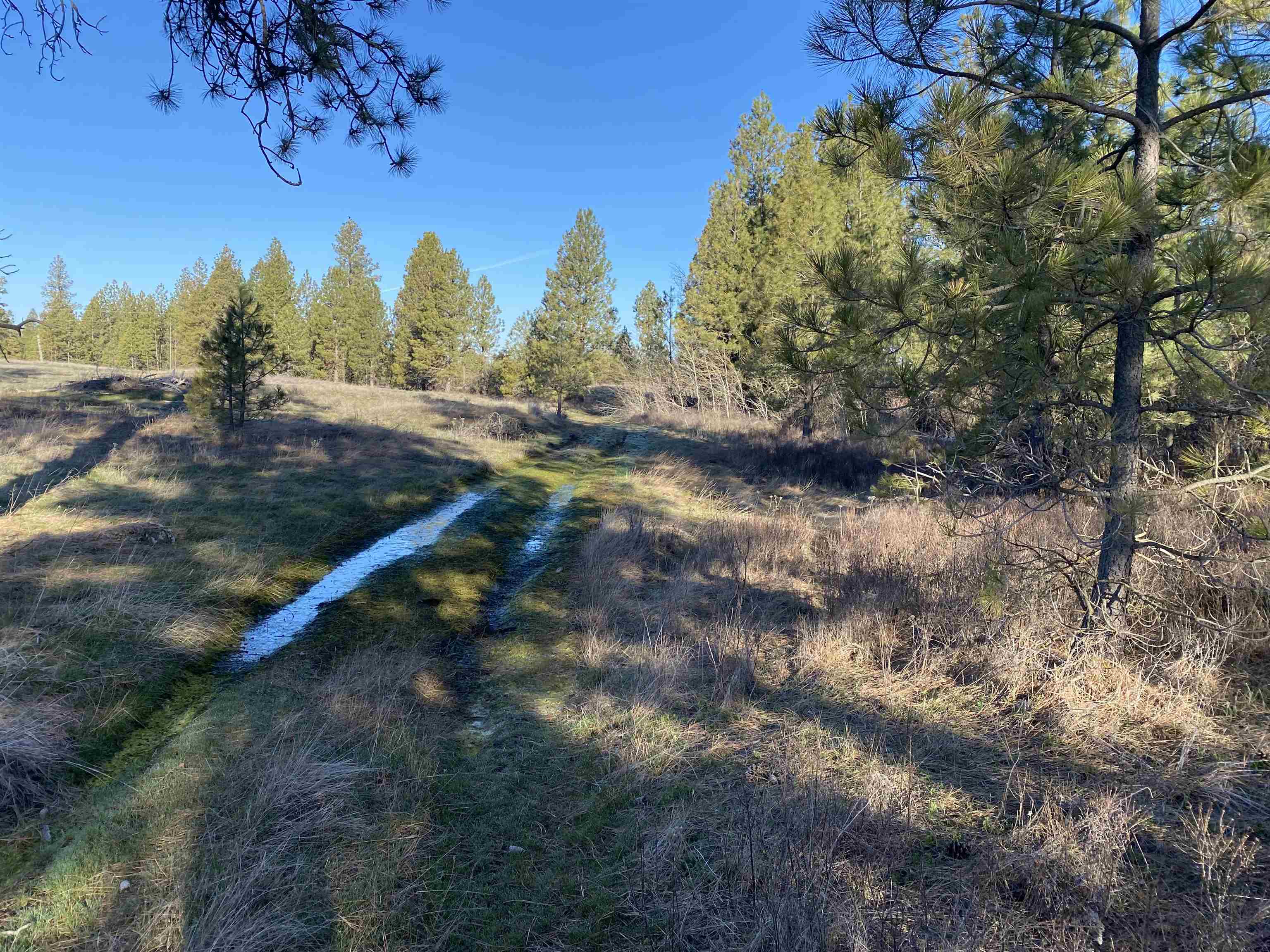 0 Lorna Ln - Photo 14