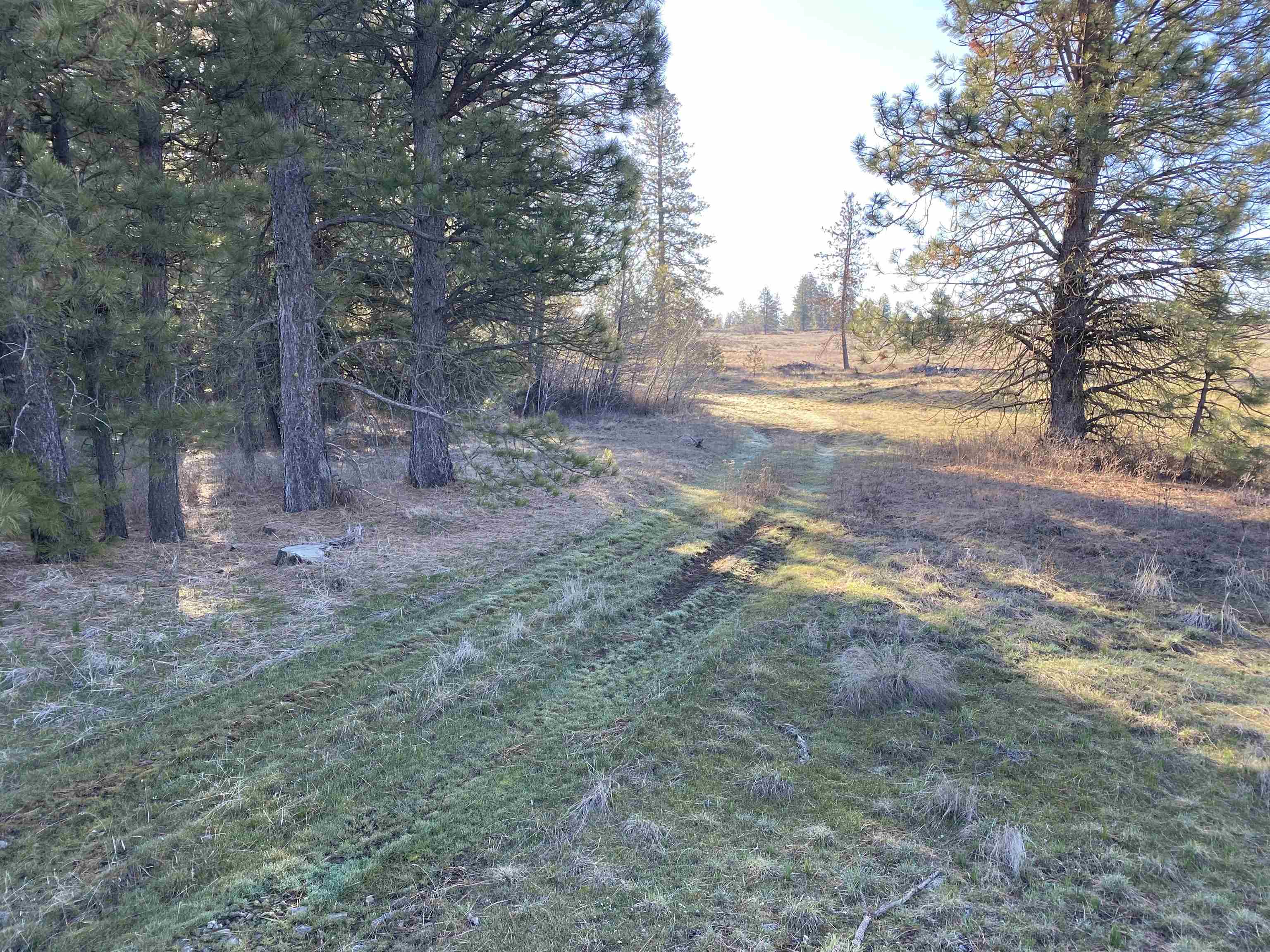 0 Lorna Ln - Photo 15