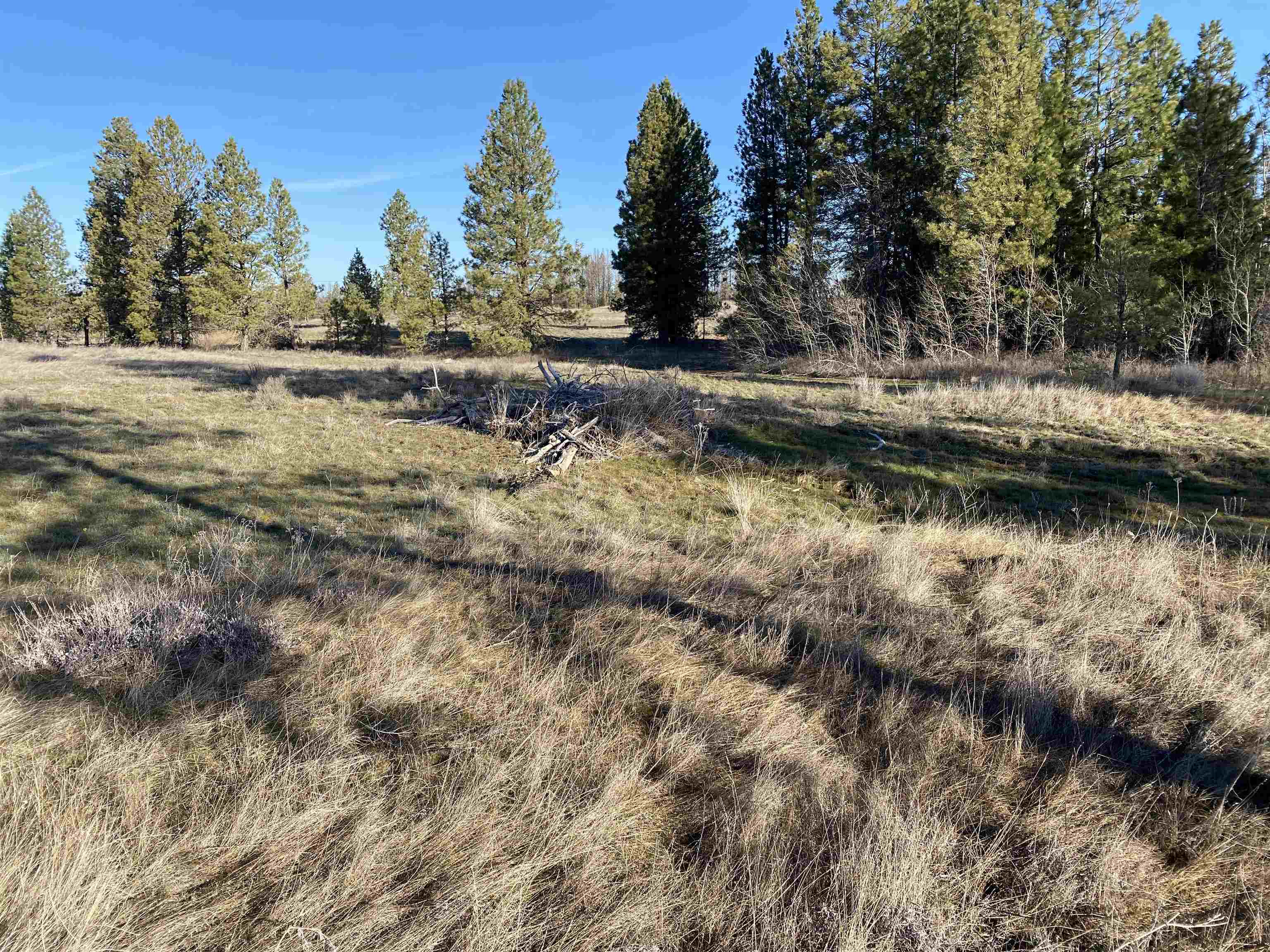 0 Lorna Ln - Photo 16