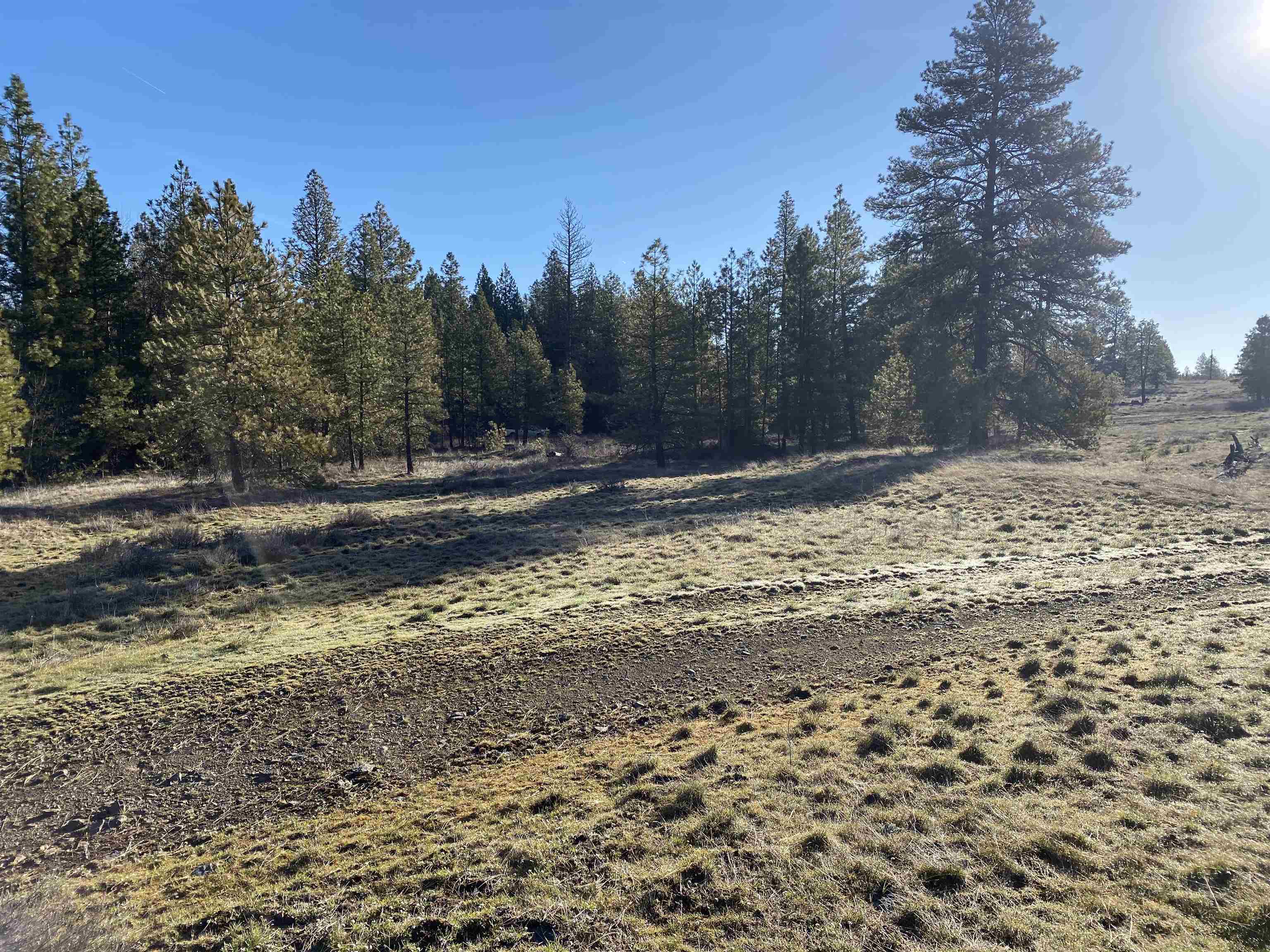 0 Lorna Ln - Photo 7