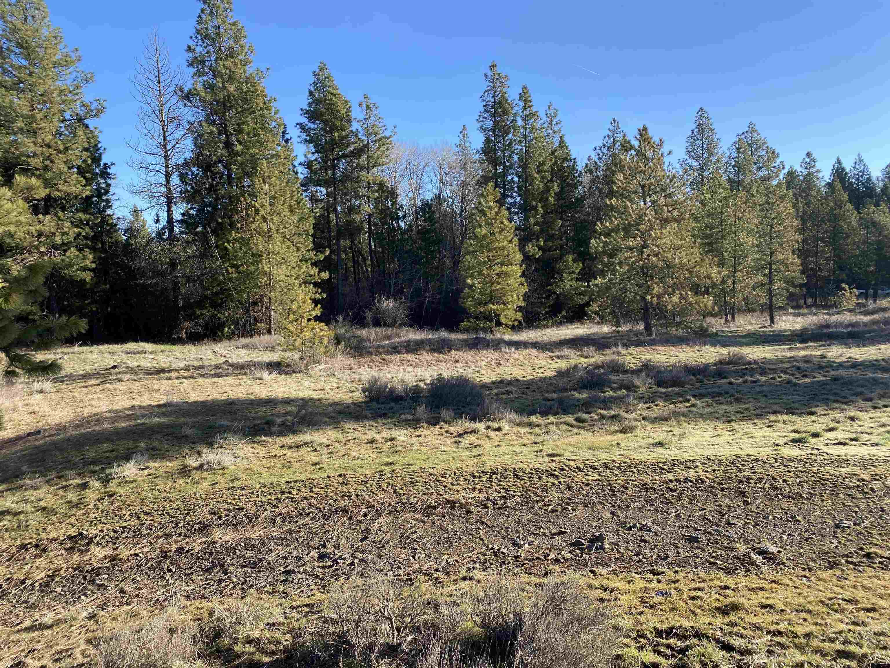 0 Lorna Ln - Photo 8