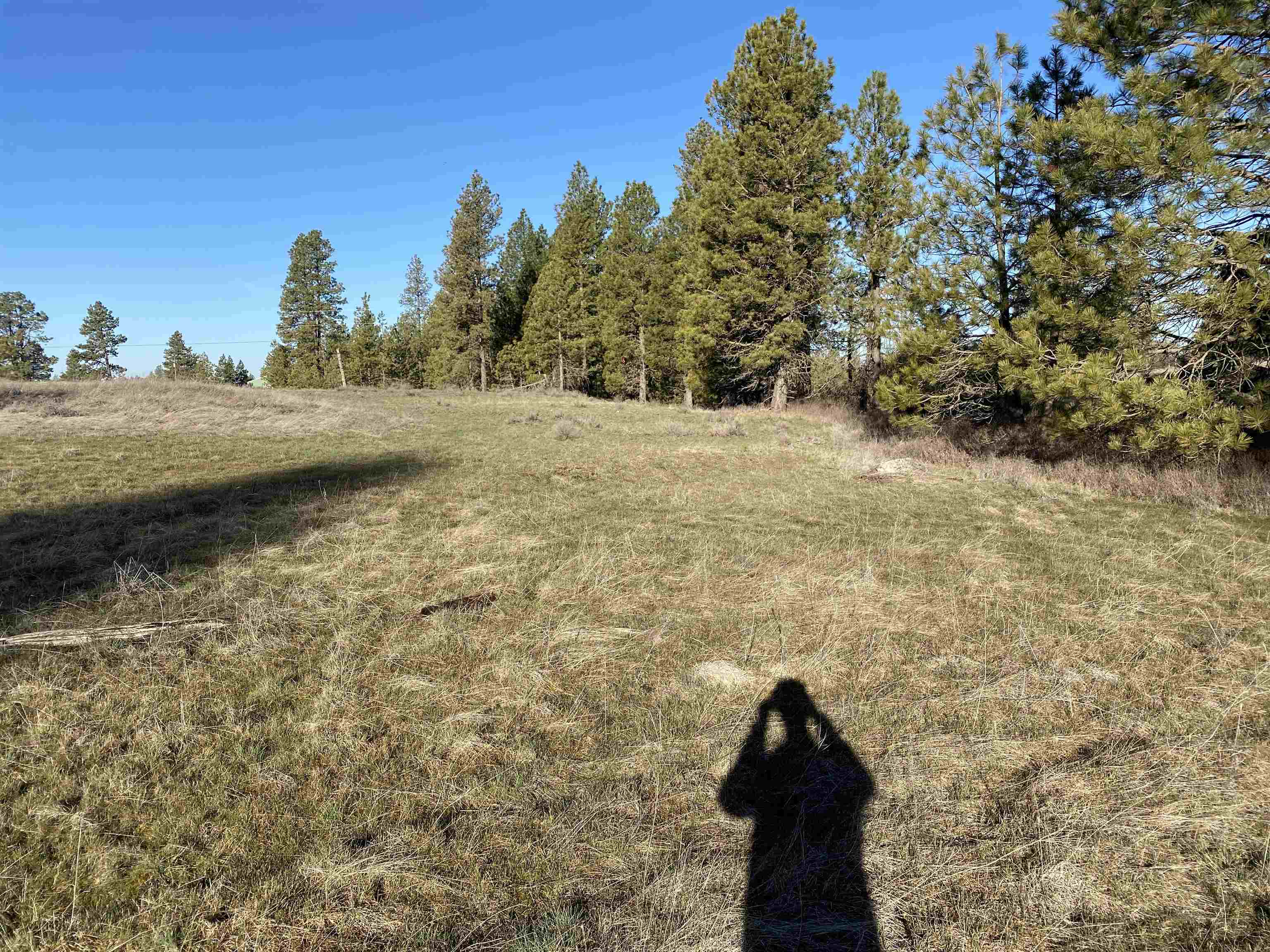 0 Lorna Ln - Photo 9