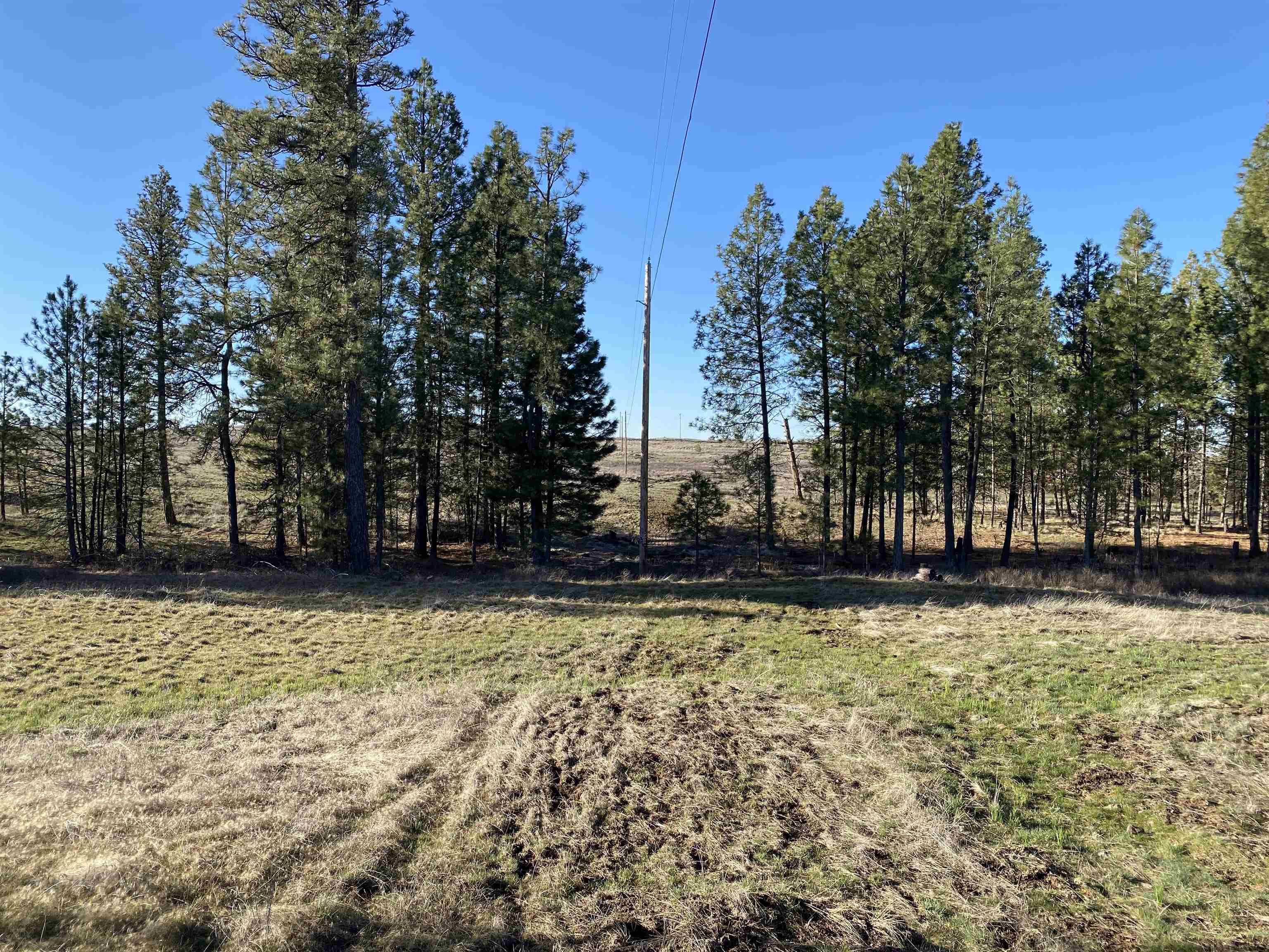 0 Lorna Ln - Photo 10