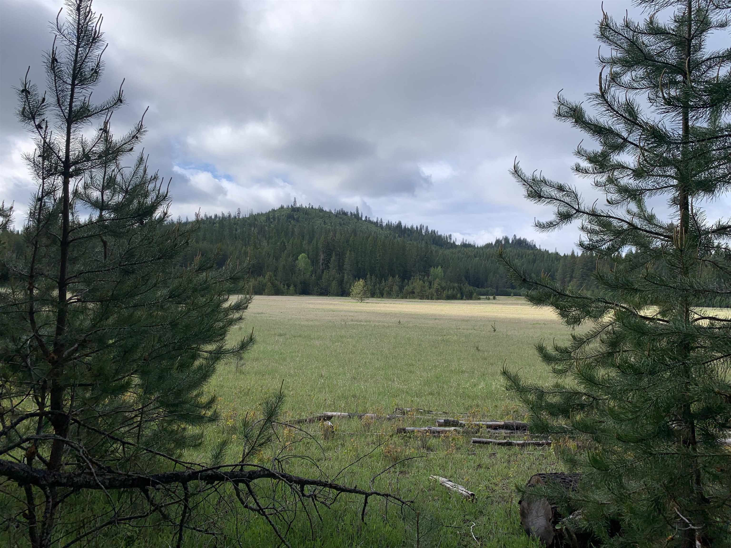 3xx Beaver Valley Rd - Photo 2