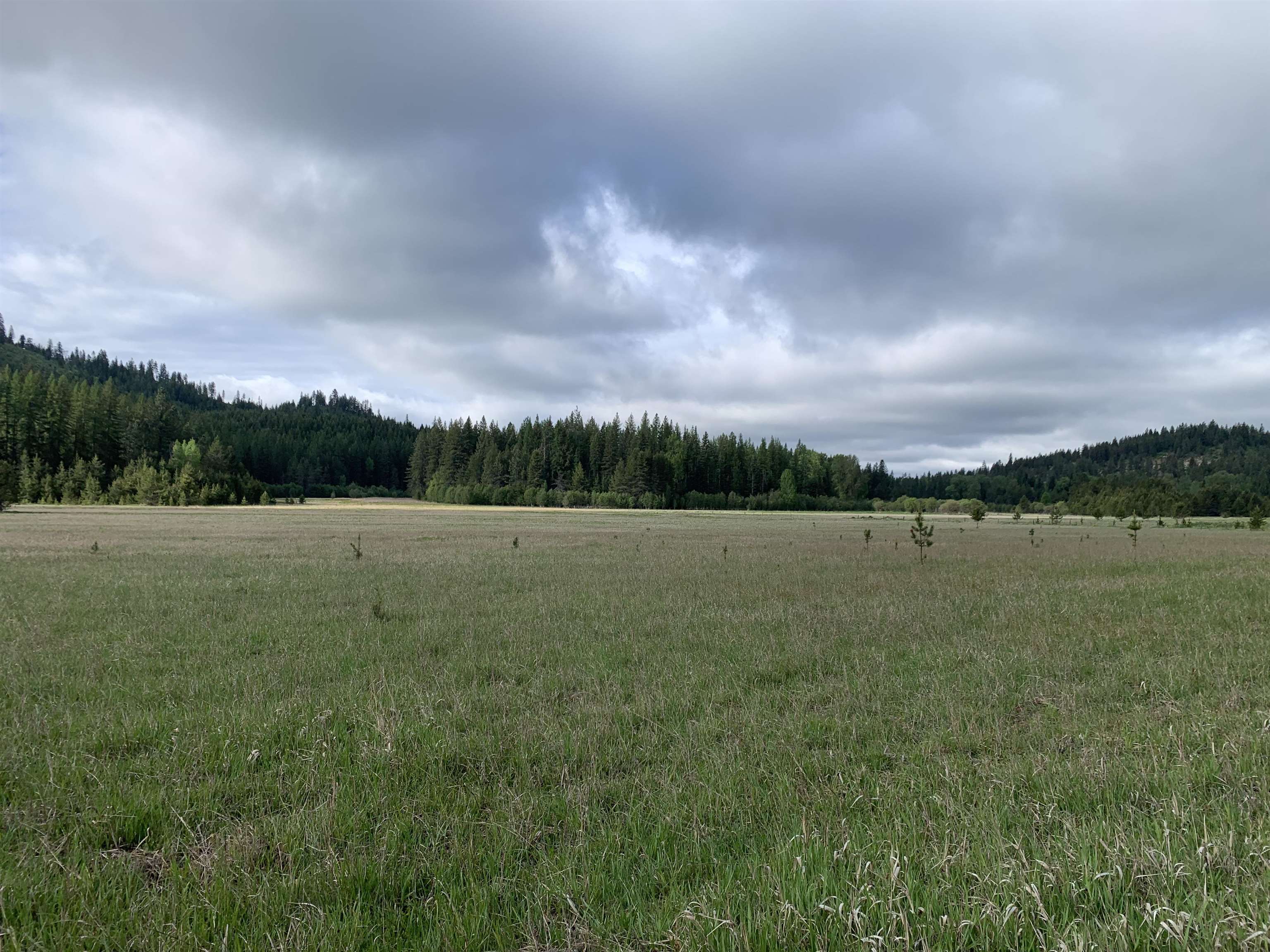 3xx Beaver Valley Rd - Photo 11