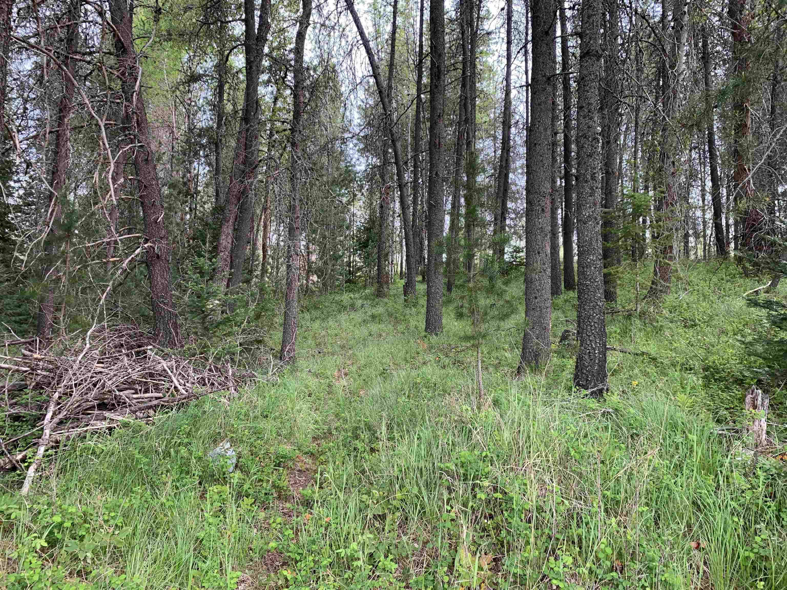 3xx Beaver Valley Rd - Photo 12