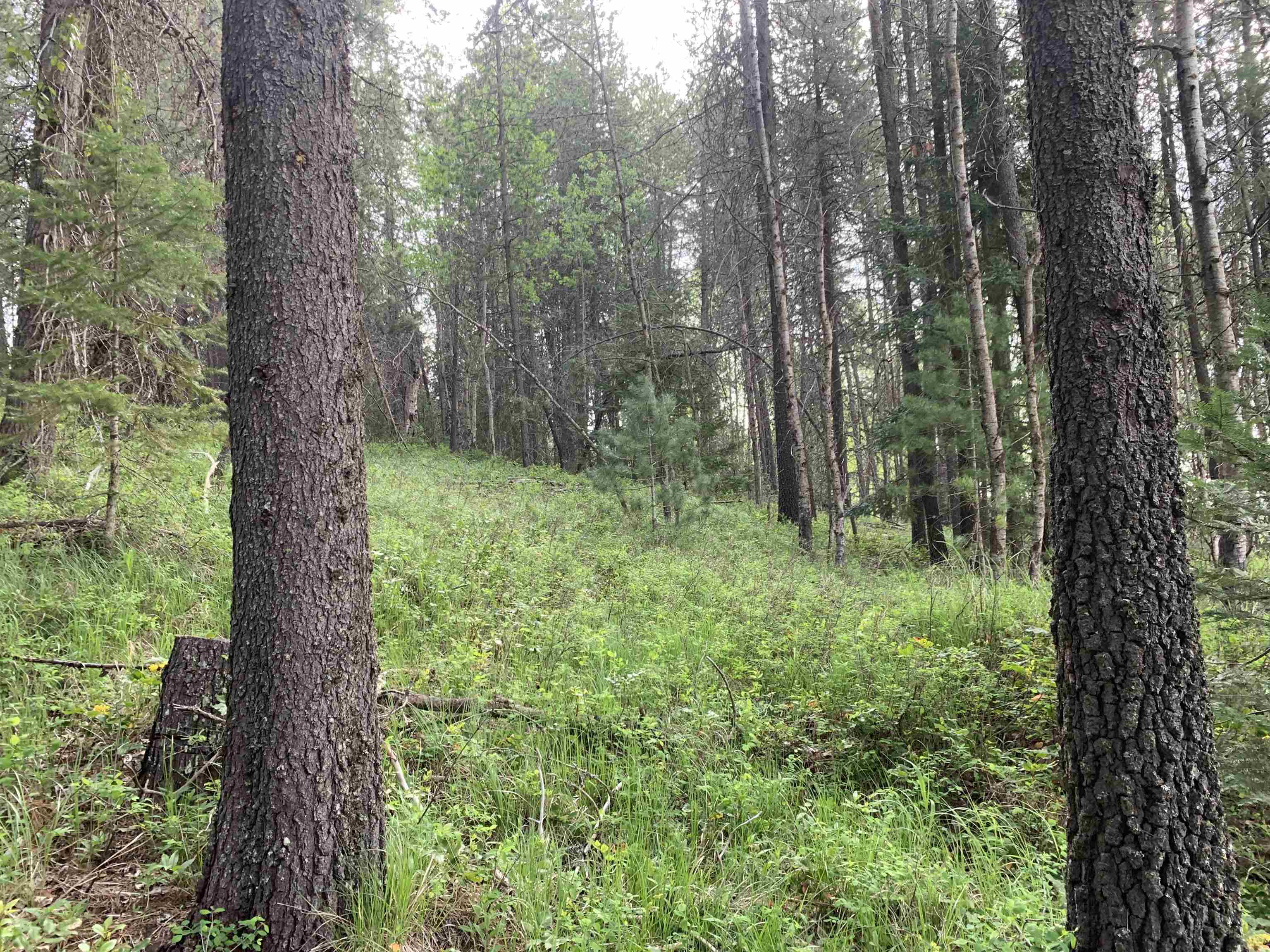 3xx Beaver Valley Rd - Photo 13