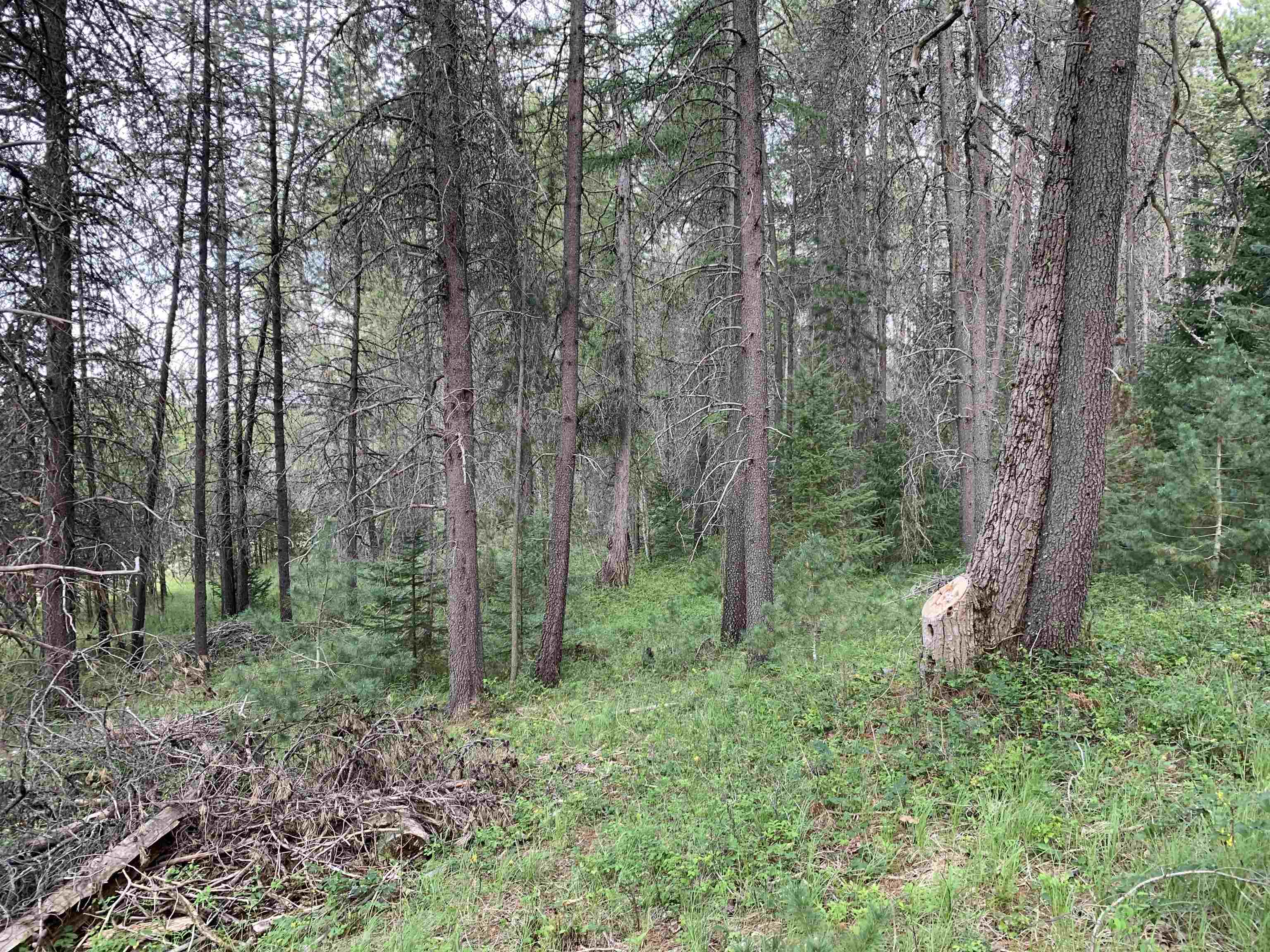 3xx Beaver Valley Rd - Photo 14
