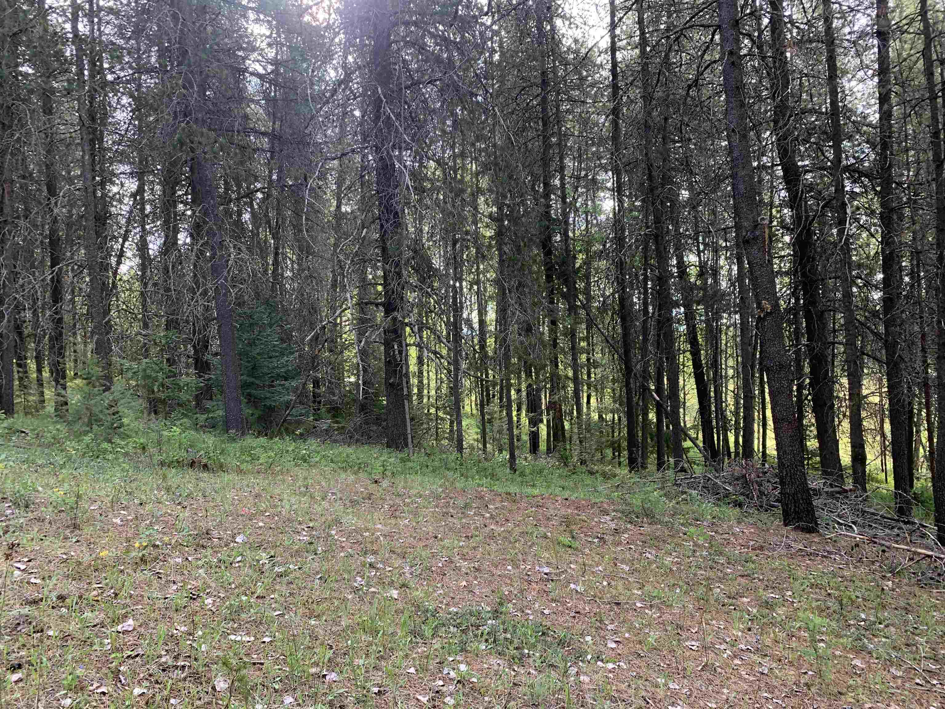 3xx Beaver Valley Rd - Photo 15