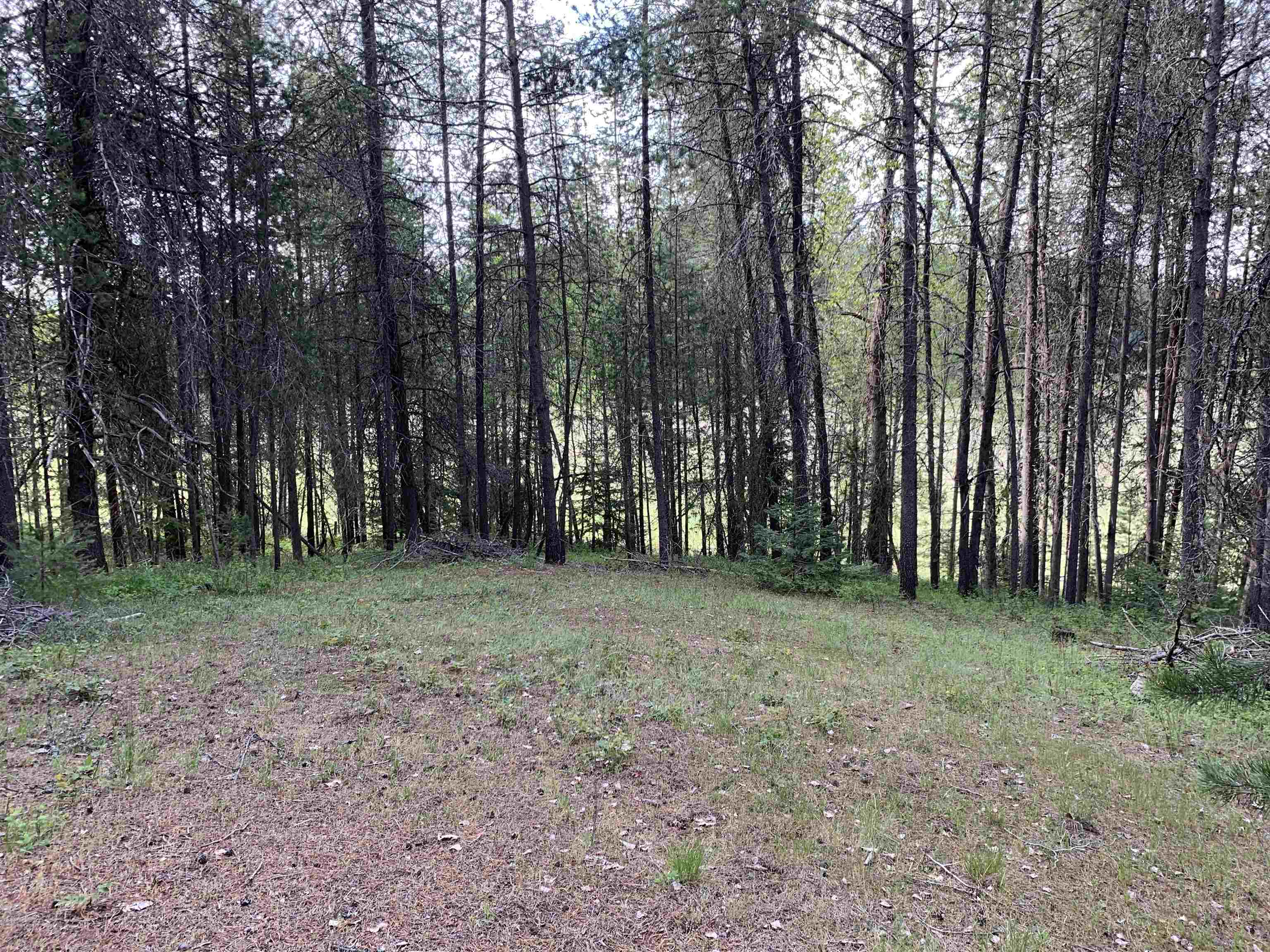 3xx Beaver Valley Rd - Photo 16