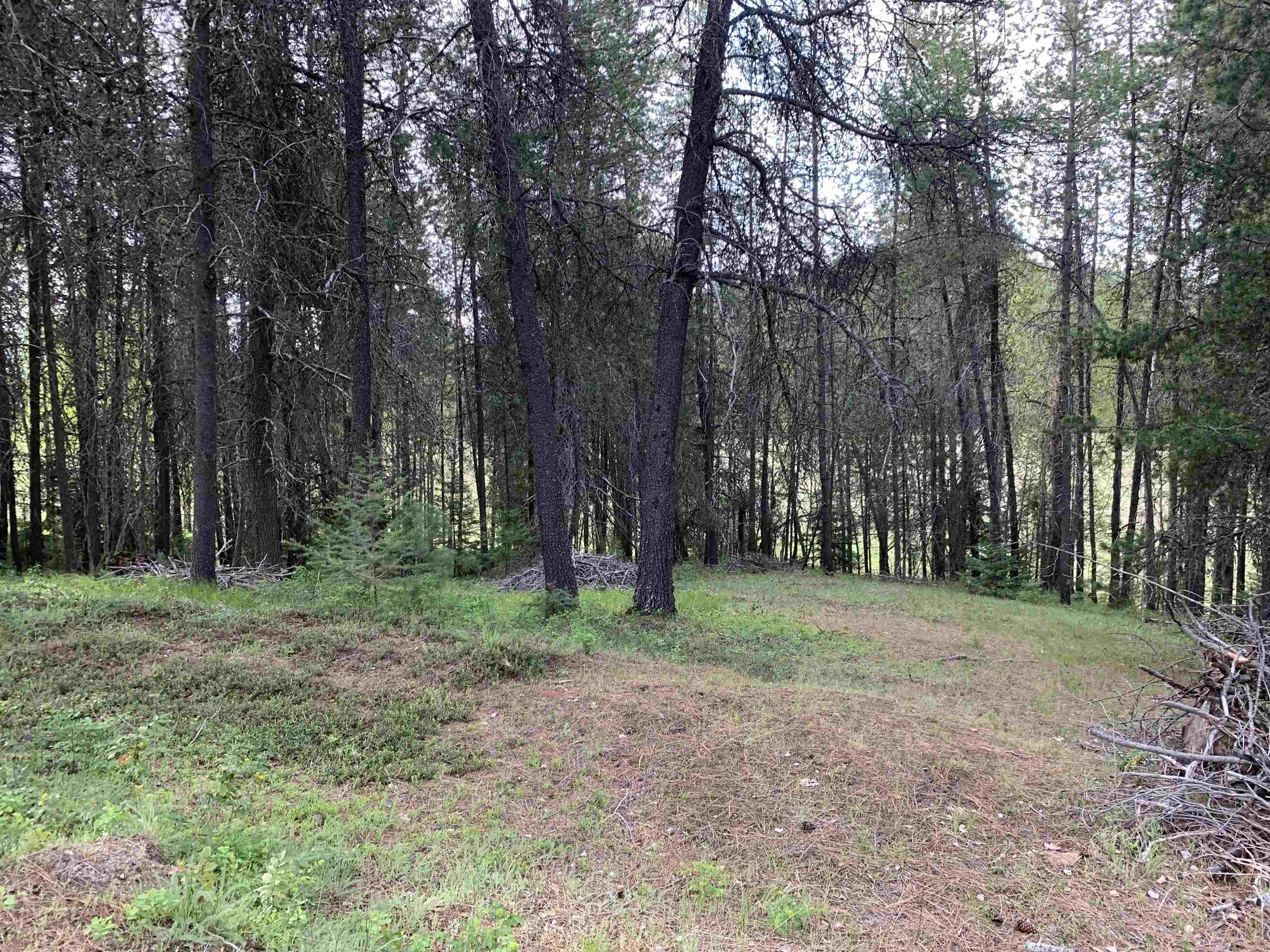 3xx Beaver Valley Rd - Photo 17