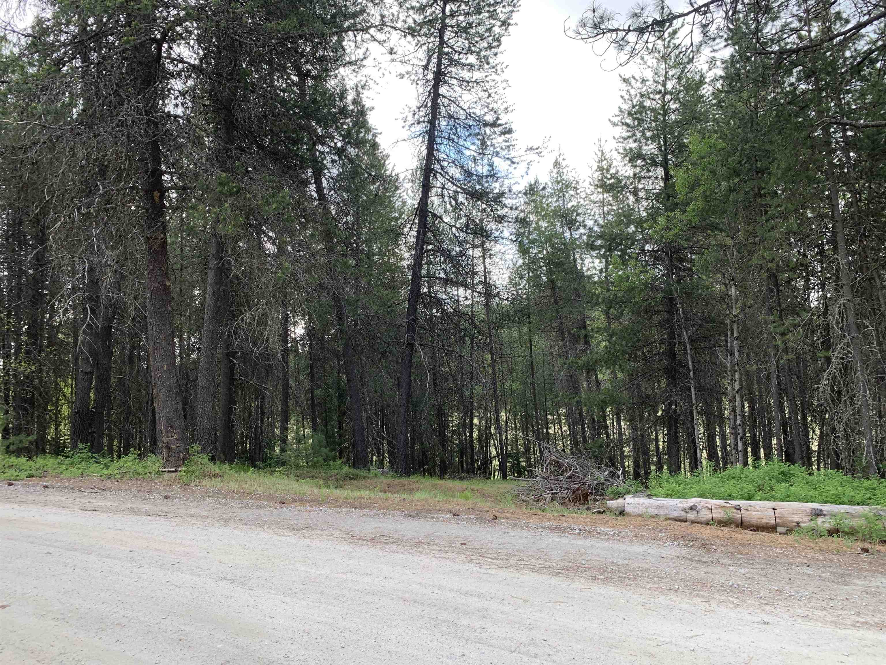 3xx Beaver Valley Rd - Photo 18