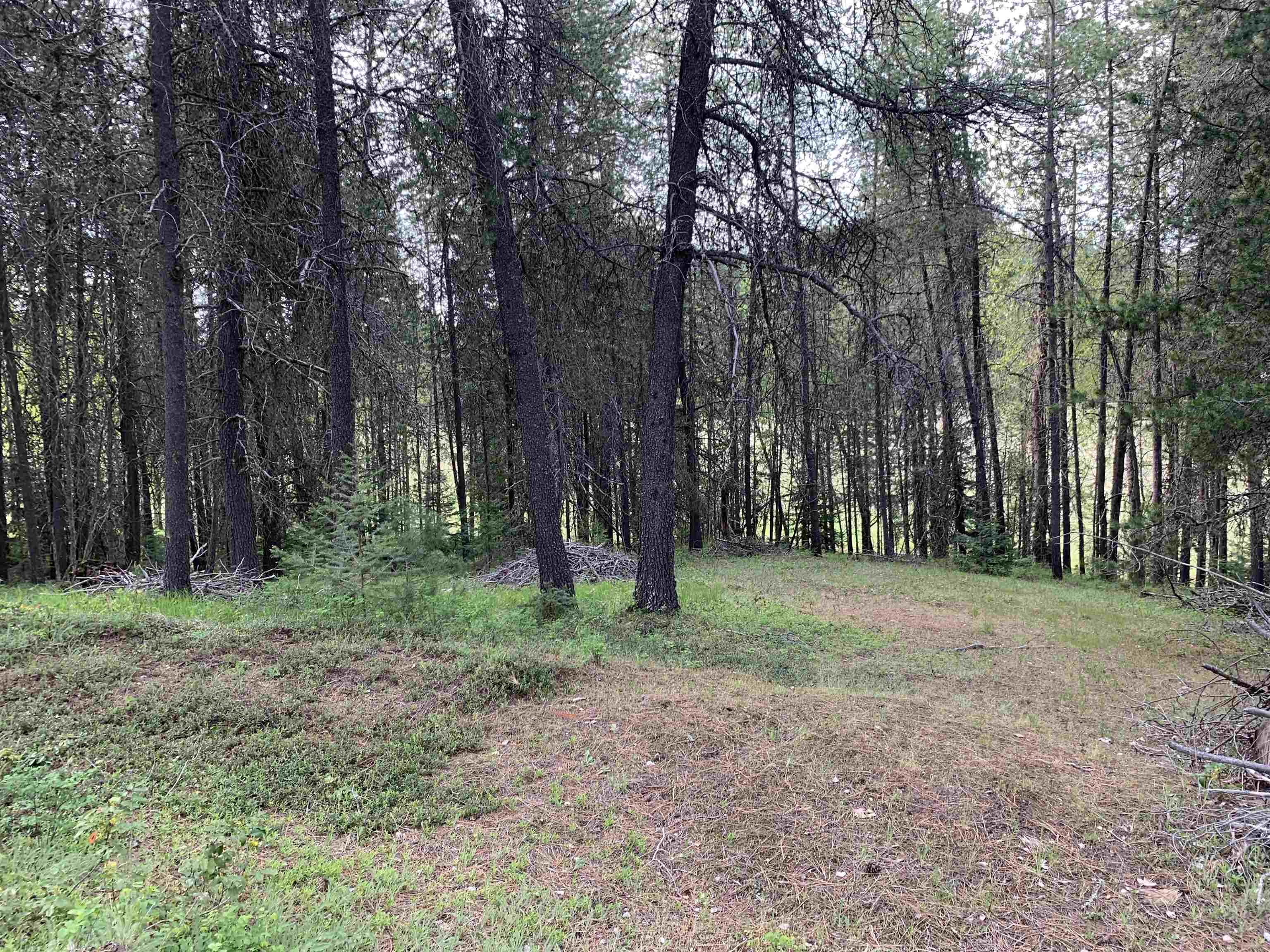 3xx Beaver Valley Rd - Photo 19