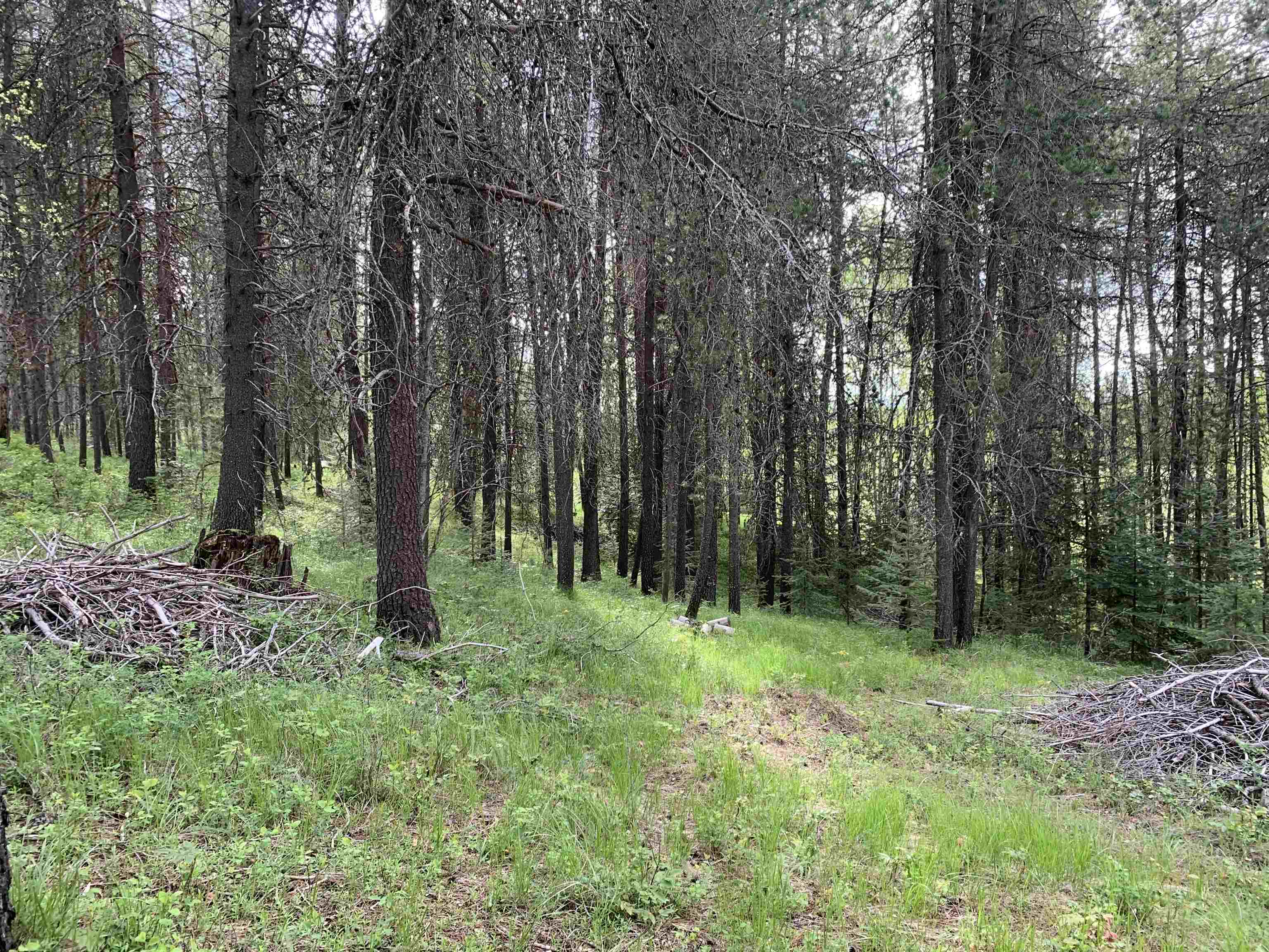 3xx Beaver Valley Rd - Photo 20