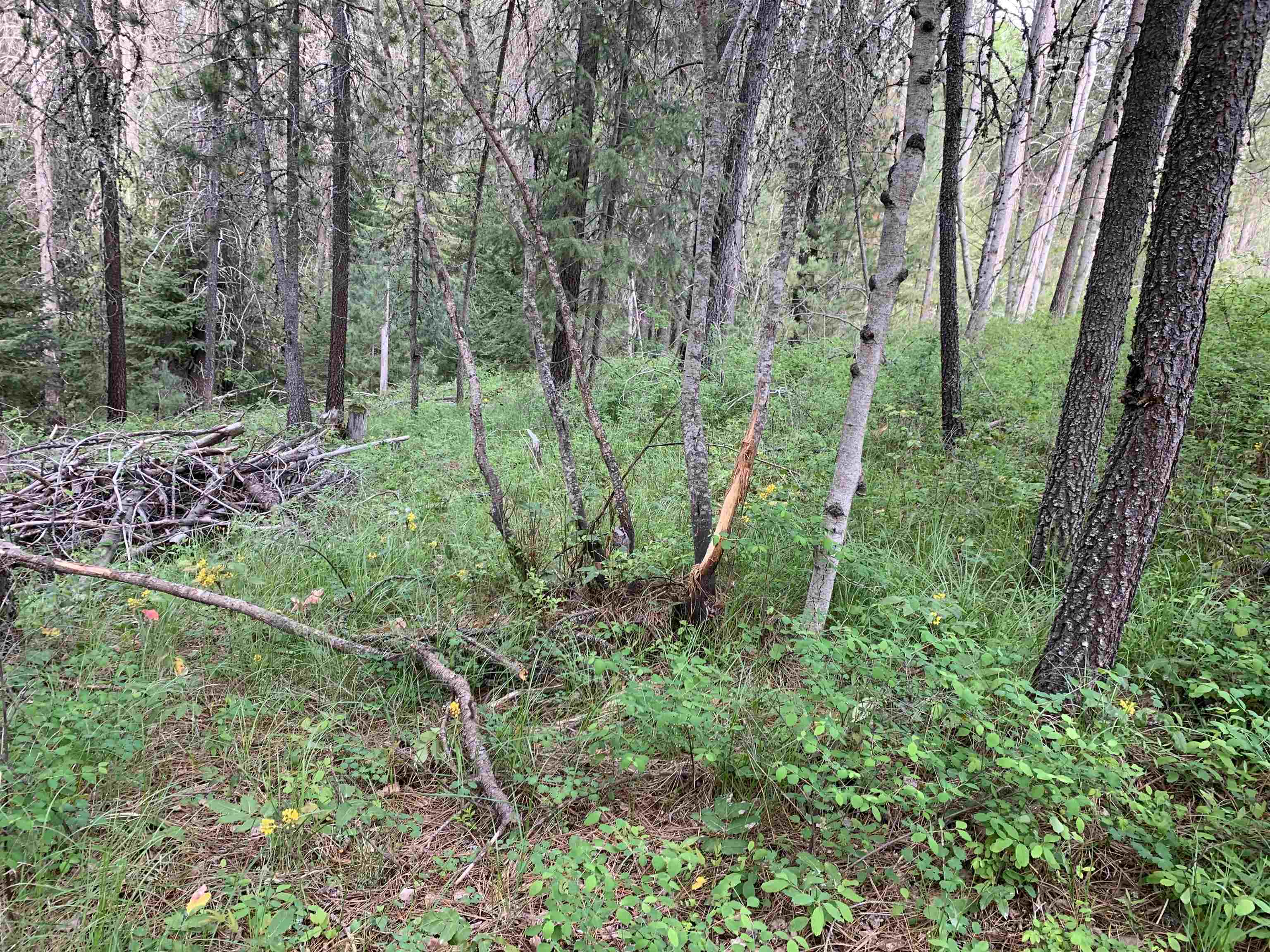 3xx Beaver Valley Rd - Photo 21