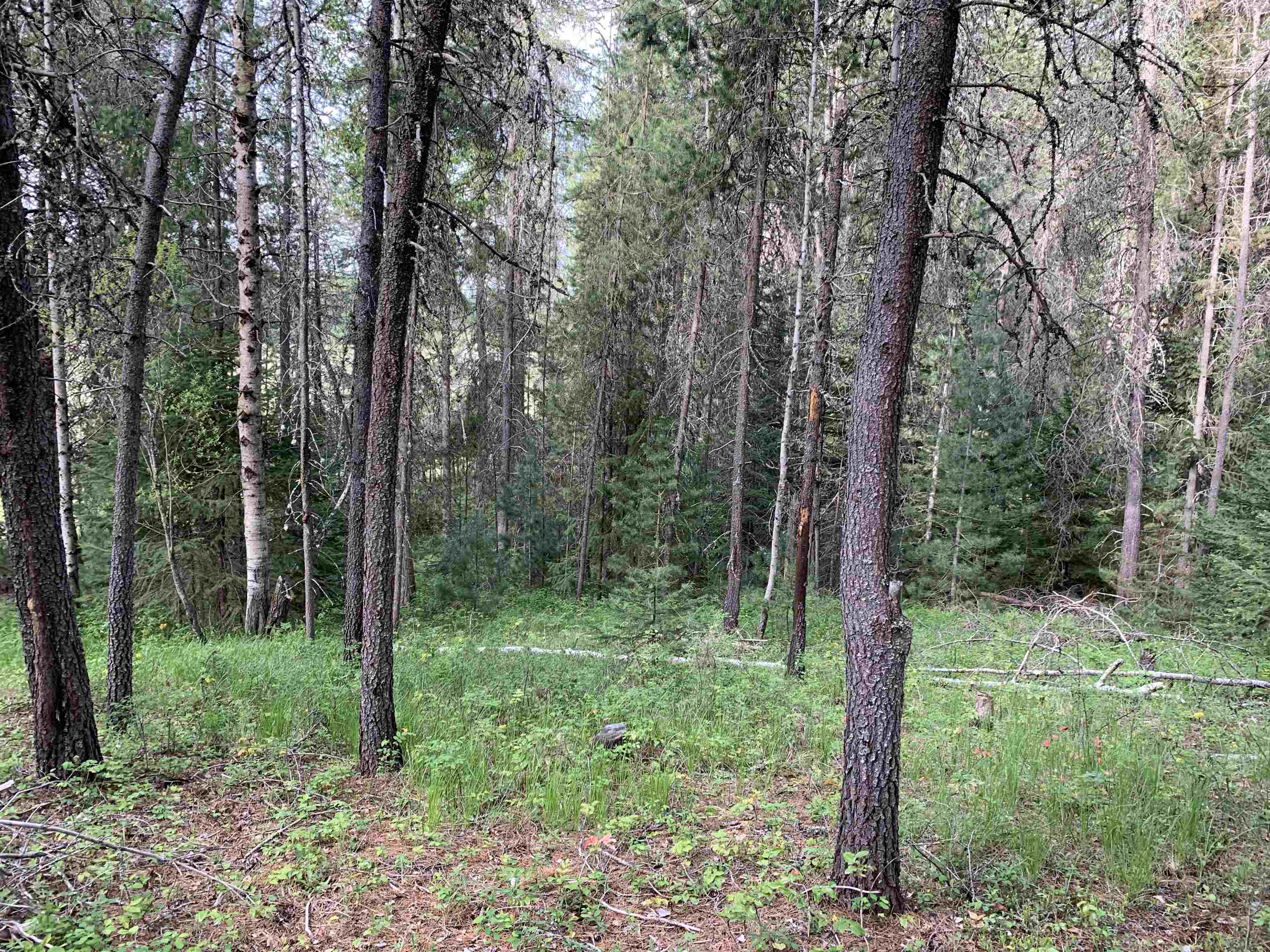3xx Beaver Valley Rd - Photo 22