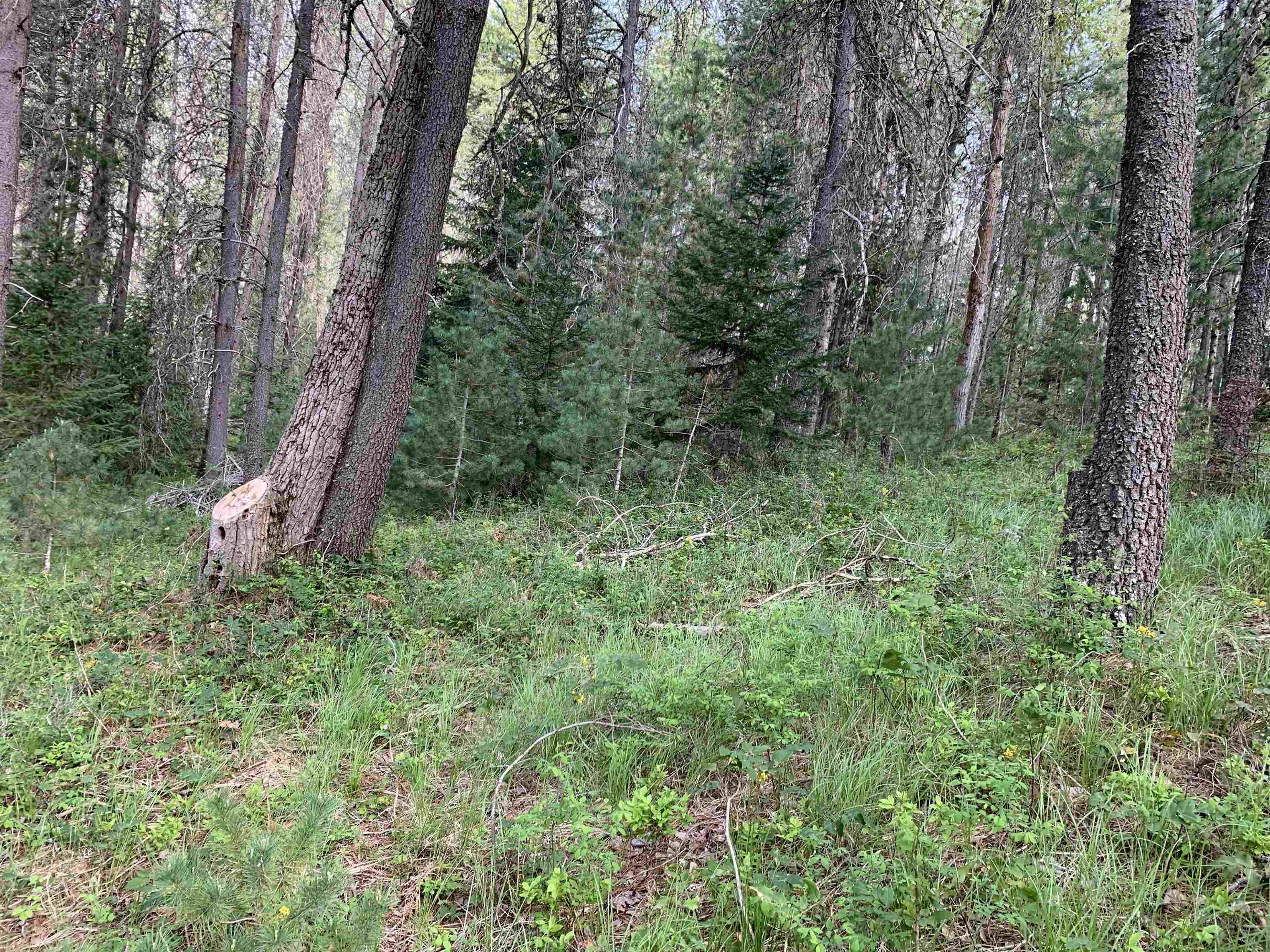 3xx Beaver Valley Rd - Photo 23