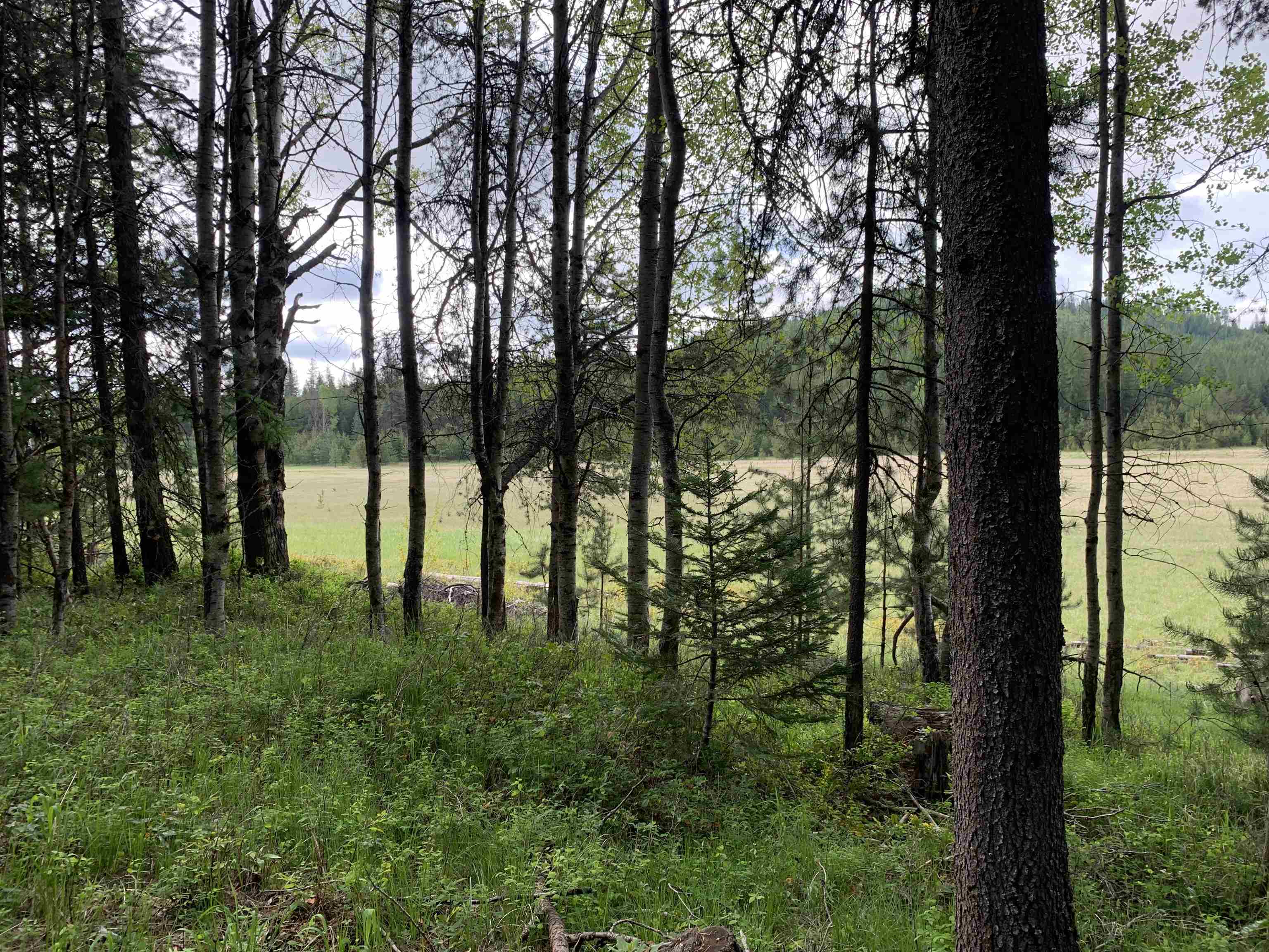 3xx Beaver Valley Rd - Photo 24