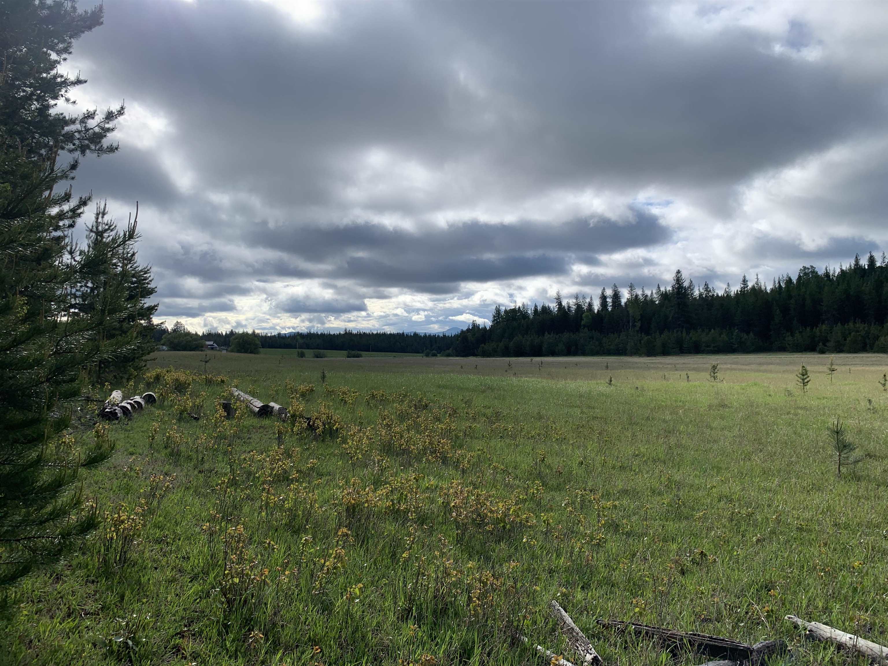 3xx Beaver Valley Rd - Photo 4