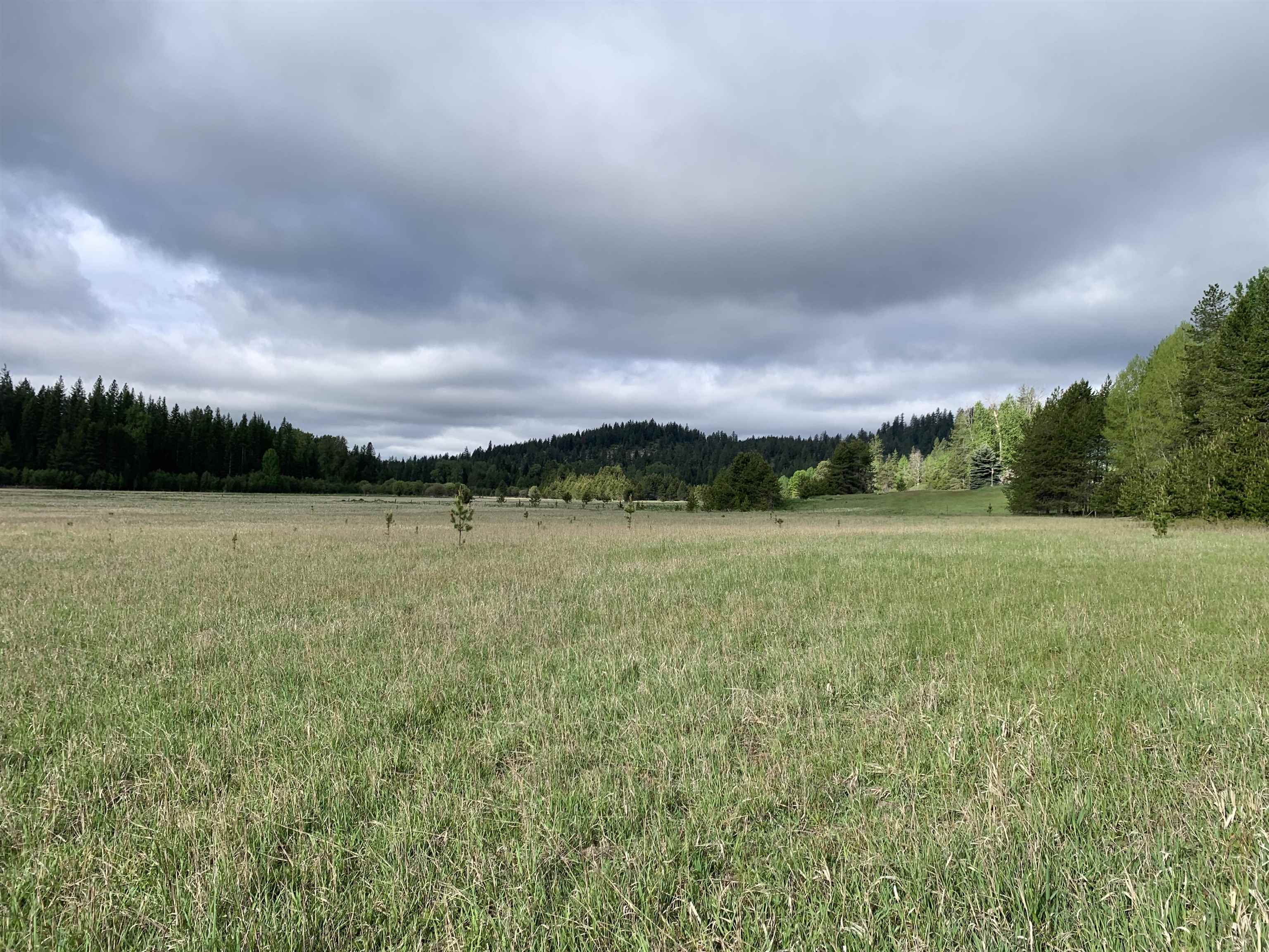 3xx Beaver Valley Rd - Photo 6