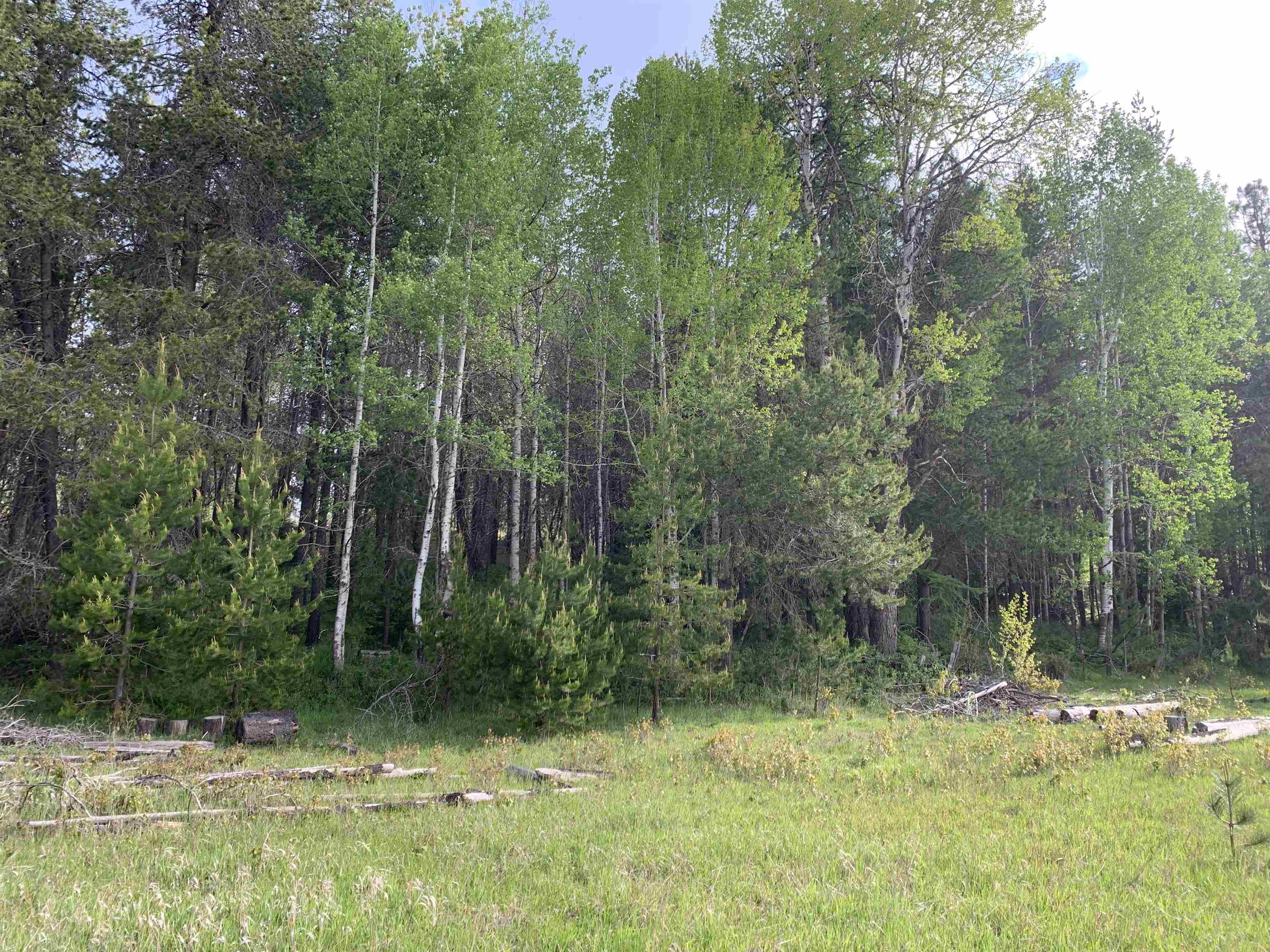 3xx Beaver Valley Rd - Photo 8