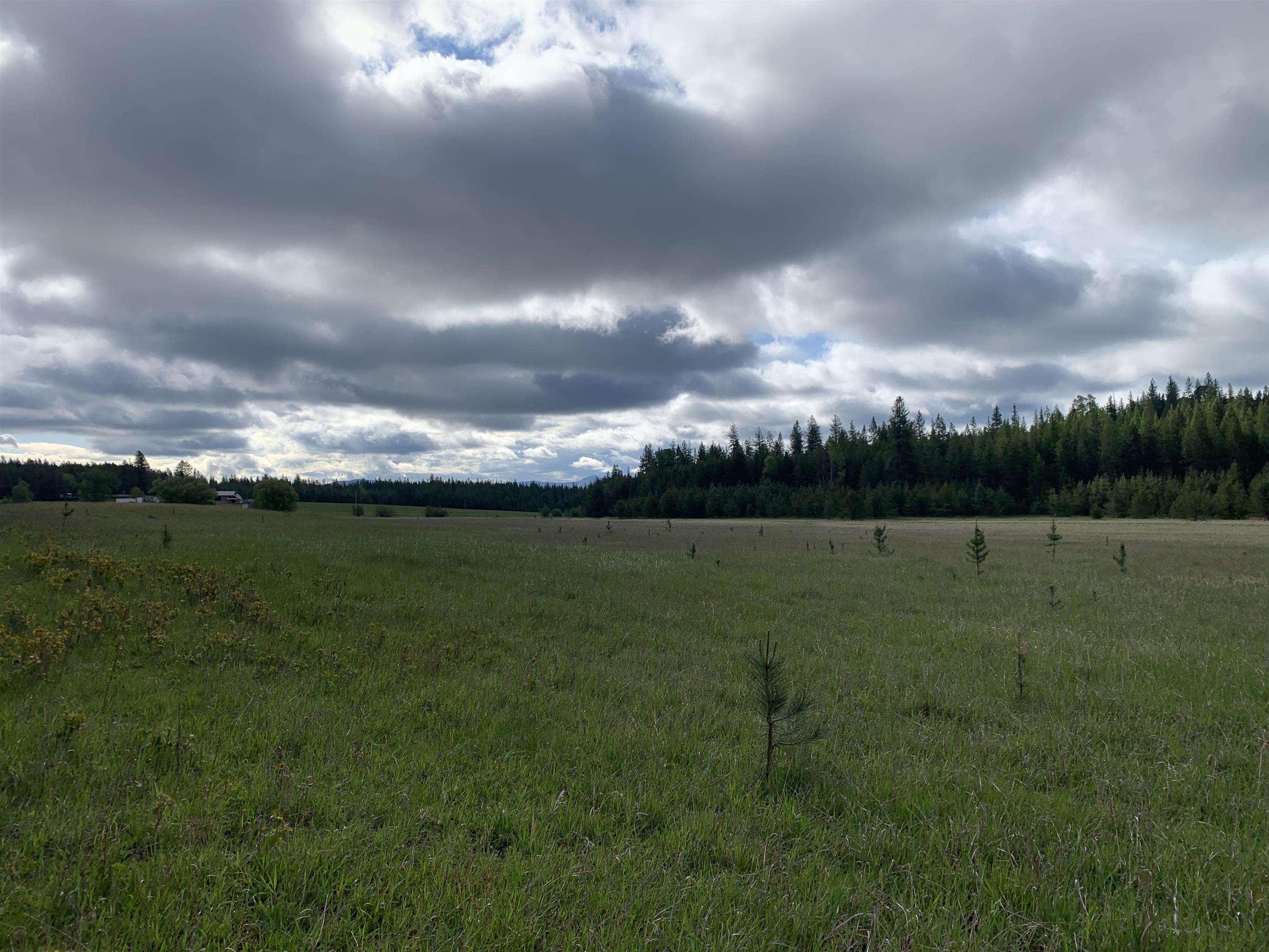 3xx Beaver Valley Rd - Photo 10