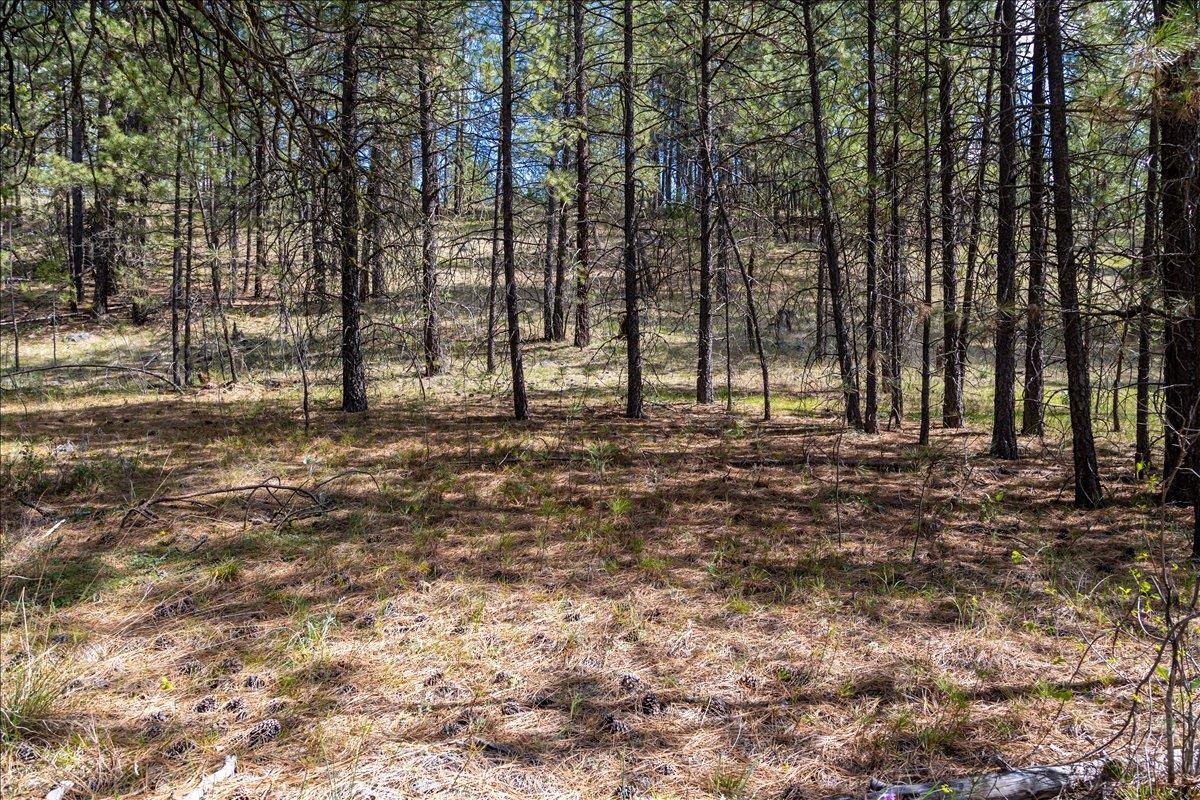 0 N Mathias Ln - Photo 4