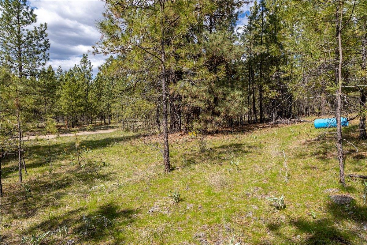 0 N Mathias Ln - Photo 7