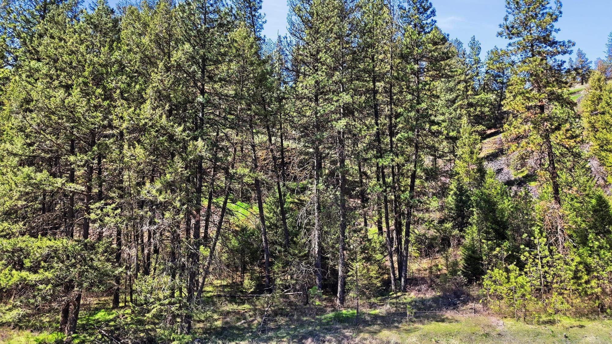 NKA- Hawk Creek Ranches - Photo 23